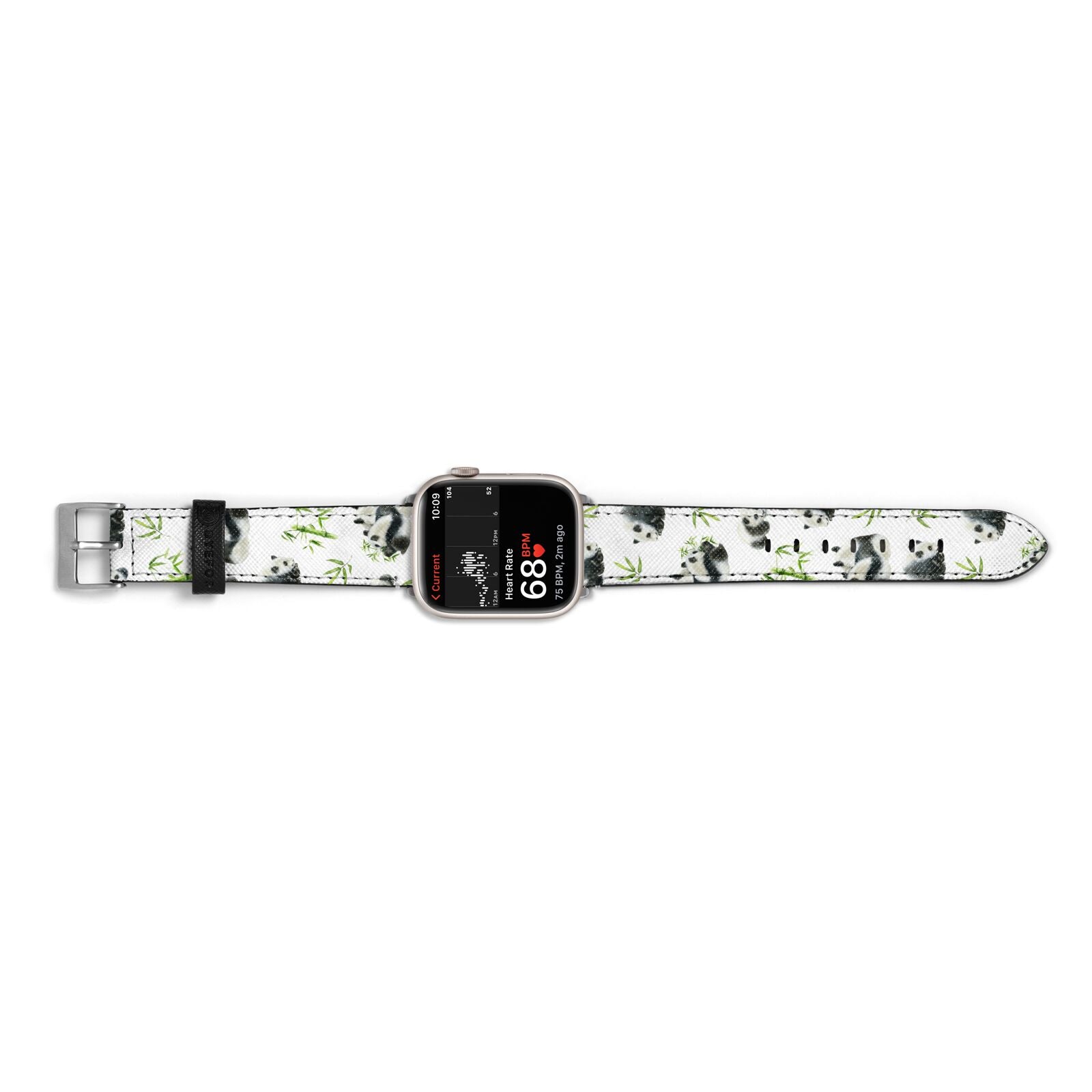 Panda Apple Watch Strap Size 38mm Landscape Image Silver Hardware