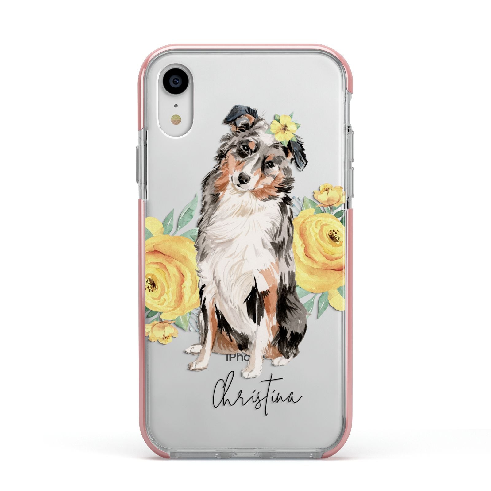 Personalised Australian Shepherd Apple iPhone XR Impact Case Pink Edge on Silver Phone