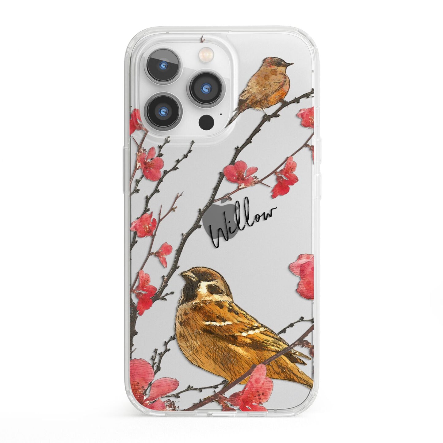 Personalised Birds iPhone 13 Pro Clear Bumper Case