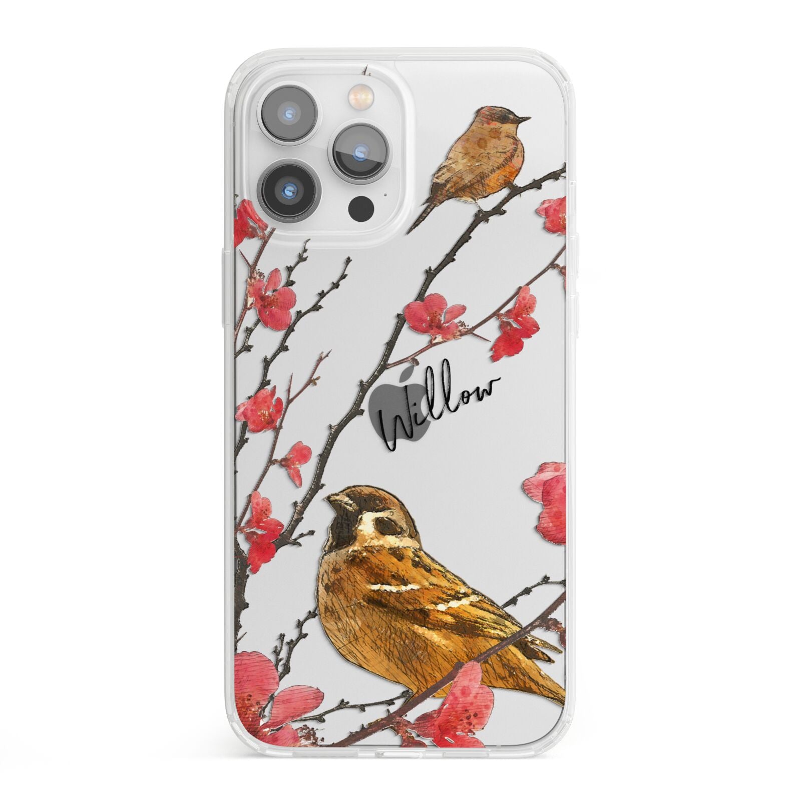Personalised Birds iPhone 13 Pro Max Clear Bumper Case