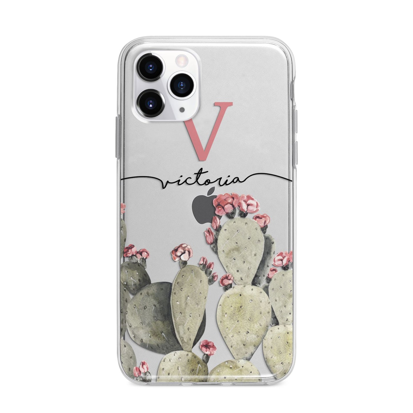 Personalised Cacti Apple iPhone 11 Pro Max in Silver with Bumper Case