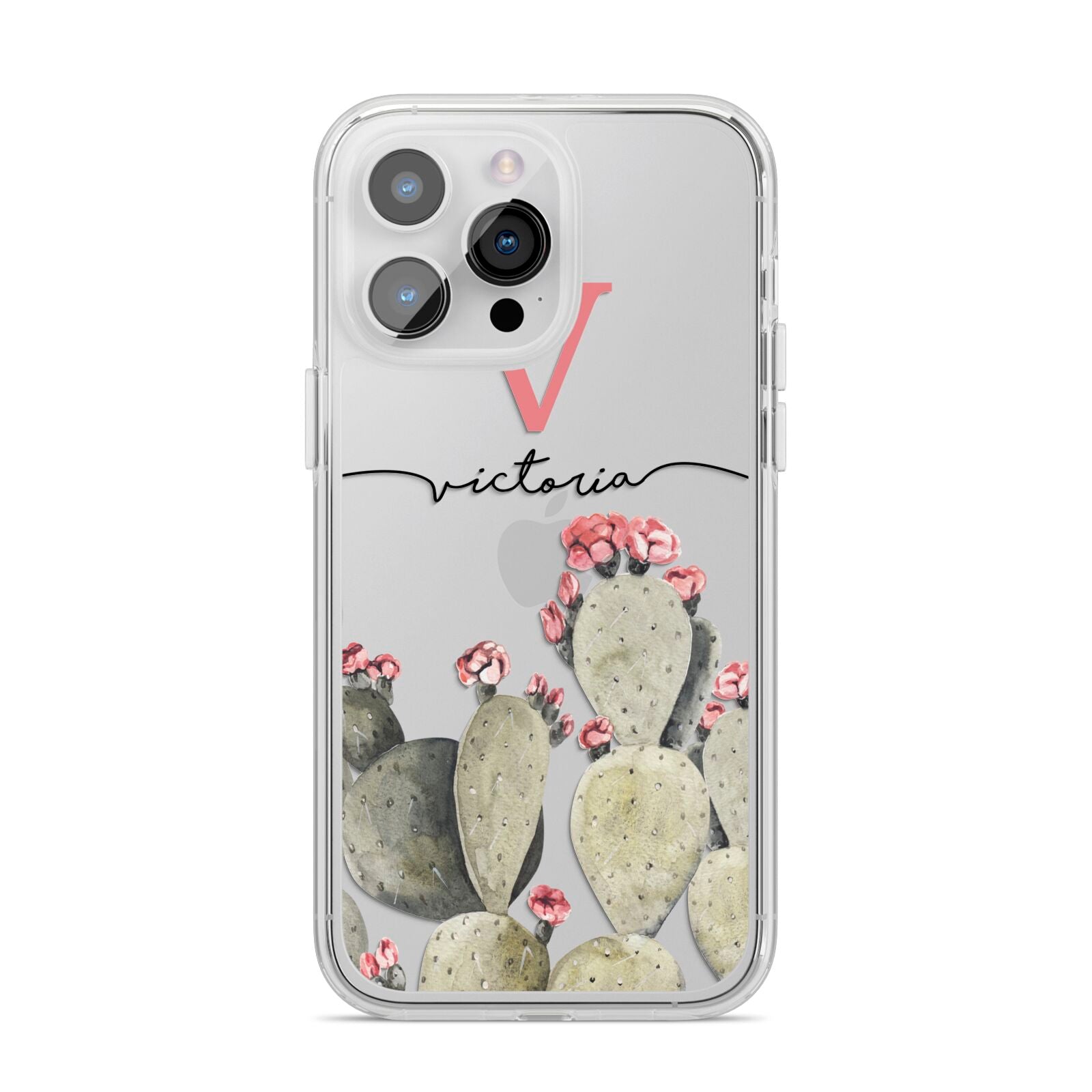 Personalised Cacti iPhone 14 Pro Max Clear Tough Case Silver