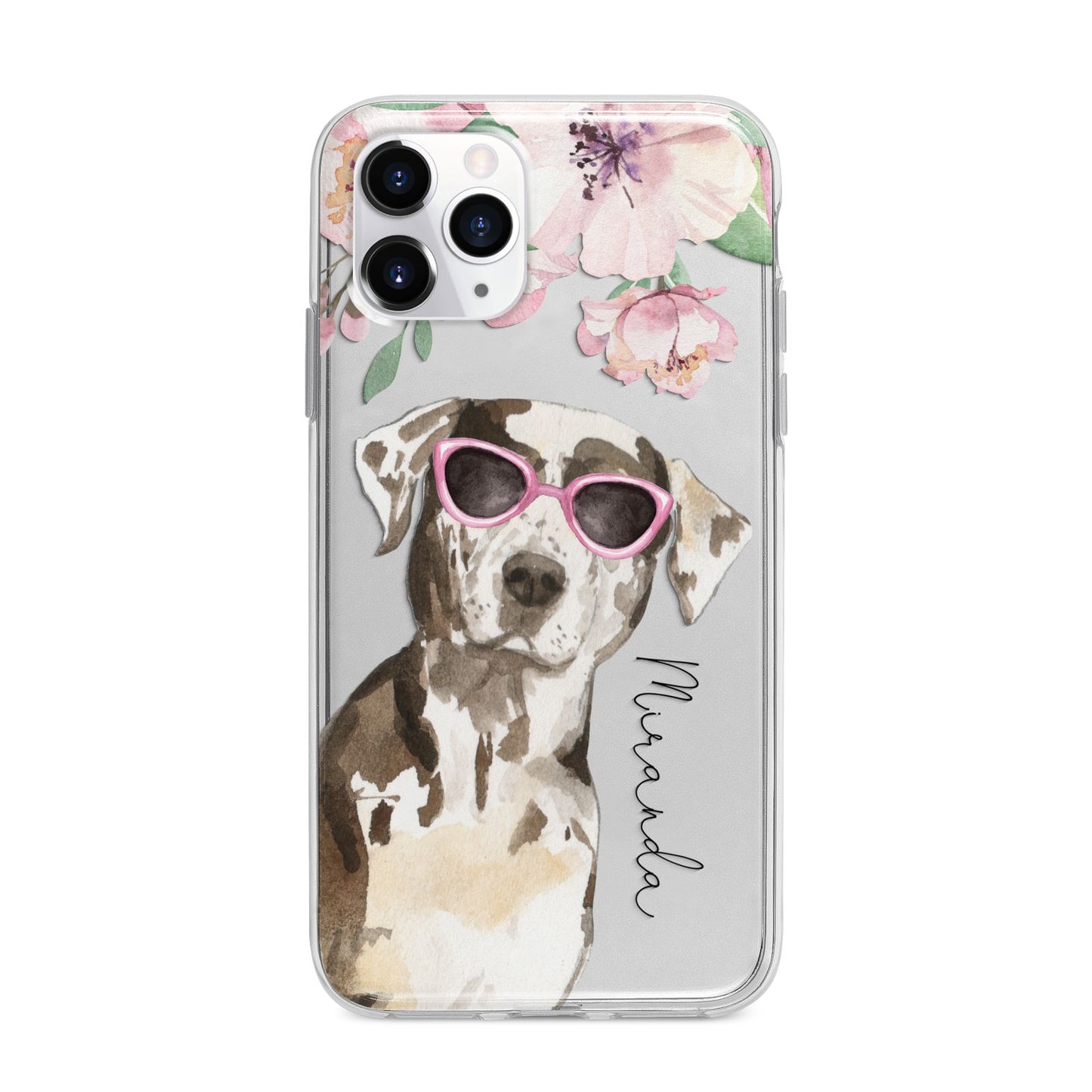 Personalised Catahoula Leopard Dog Apple iPhone 11 Pro Max in Silver with Bumper Case