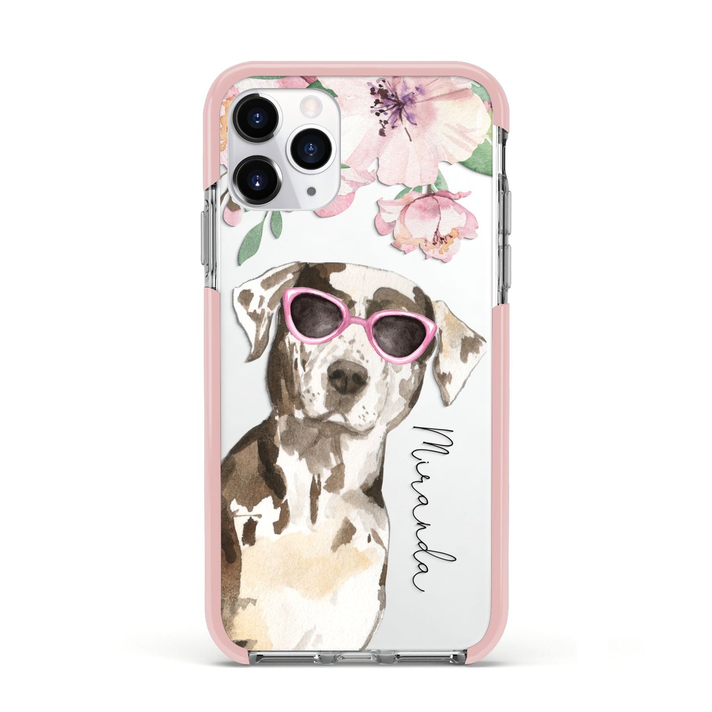 Personalised Catahoula Leopard Dog Apple iPhone 11 Pro in Silver with Pink Impact Case