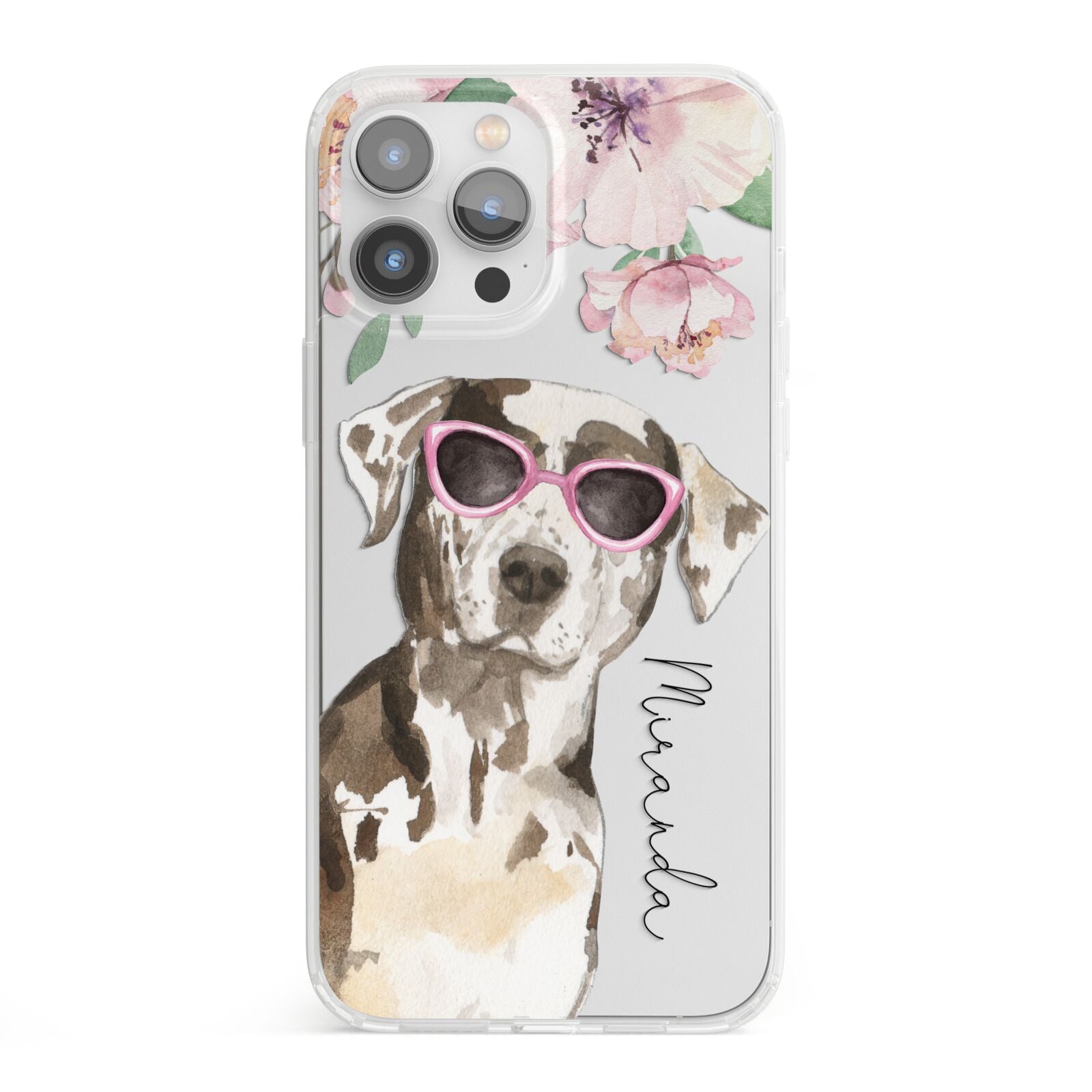 Personalised Catahoula Leopard Dog iPhone 13 Pro Max Clear Bumper Case