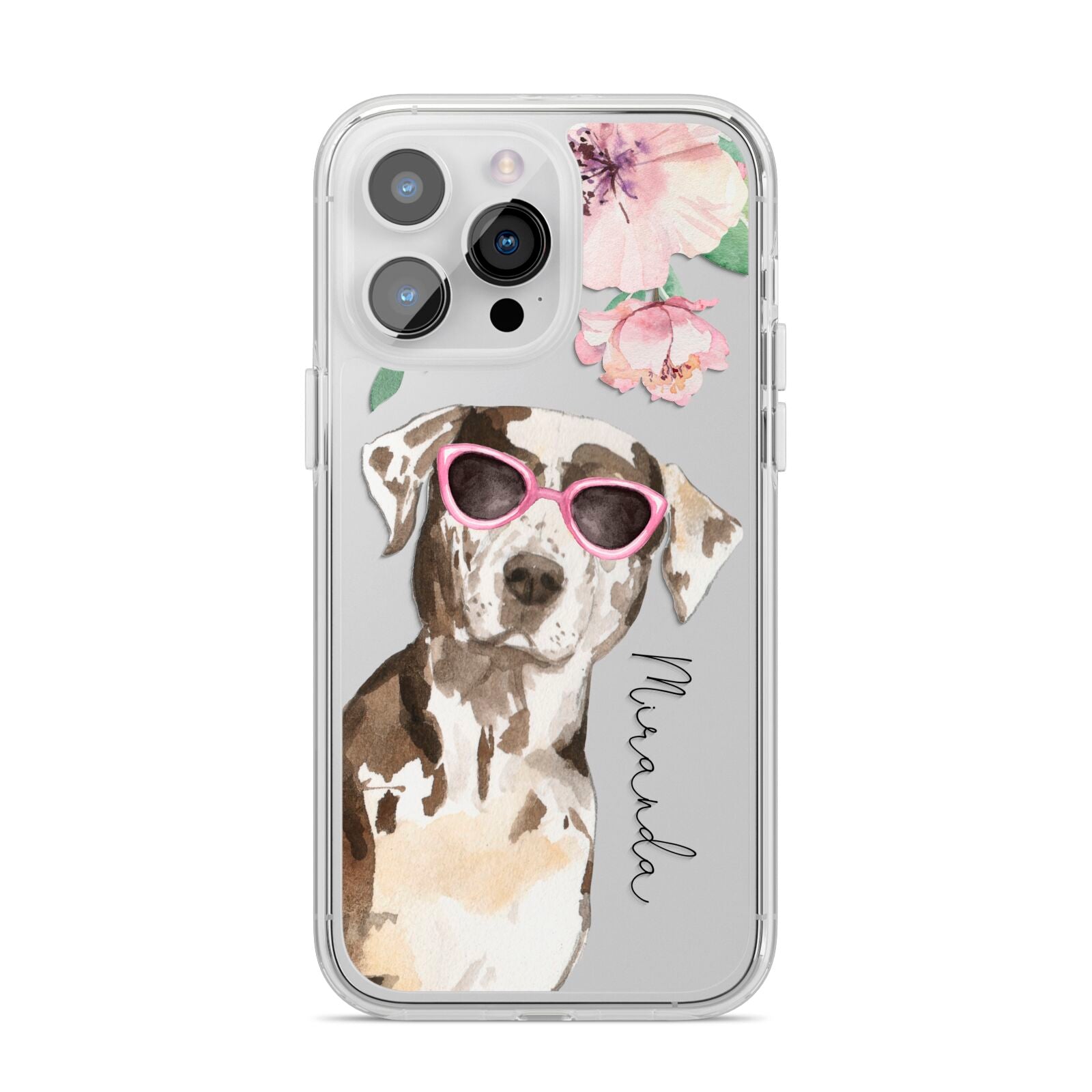 Personalised Catahoula Leopard Dog iPhone 14 Pro Max Clear Tough Case Silver