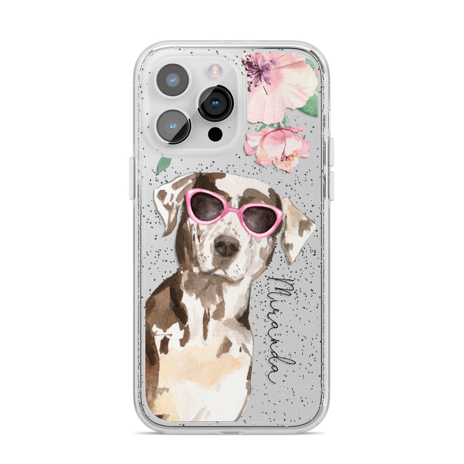 Personalised Catahoula Leopard Dog iPhone 14 Pro Max Glitter Tough Case Silver