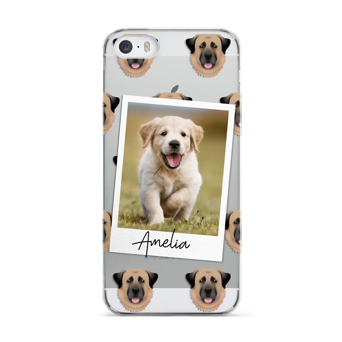 Personalised Dog Photo Apple iPhone 5 Case