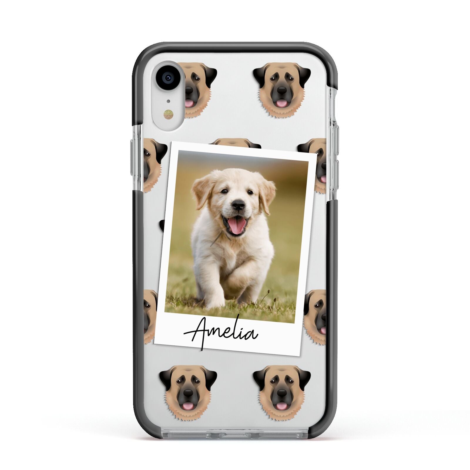 Personalised Dog Photo Apple iPhone XR Impact Case Black Edge on Silver Phone