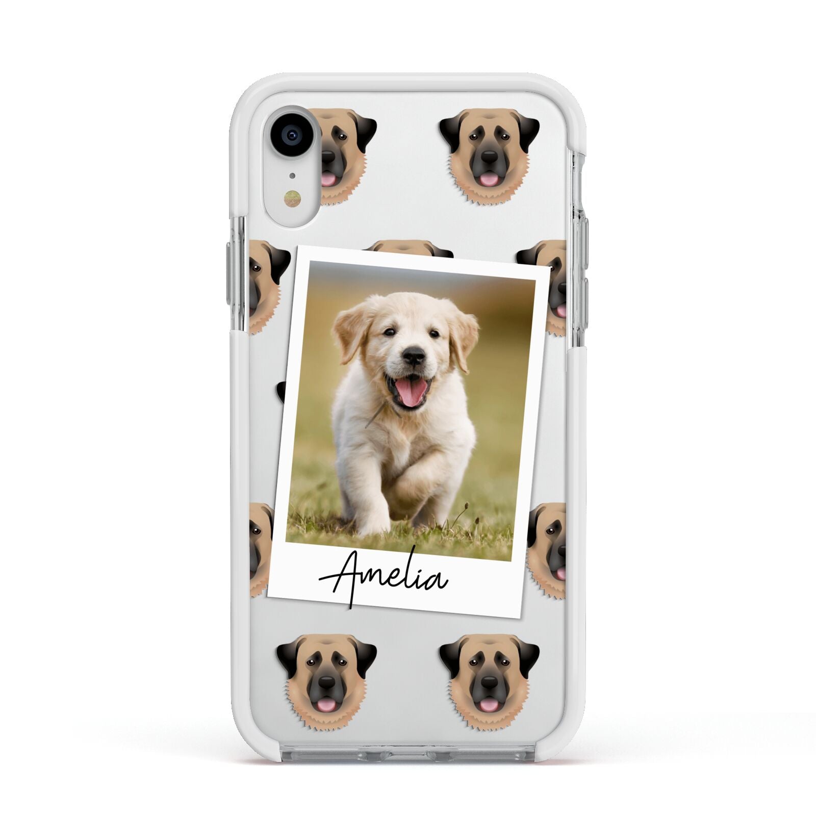 Personalised Dog Photo Apple iPhone XR Impact Case White Edge on Silver Phone