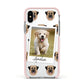 Personalised Dog Photo Apple iPhone Xs Impact Case Pink Edge on Silver Phone