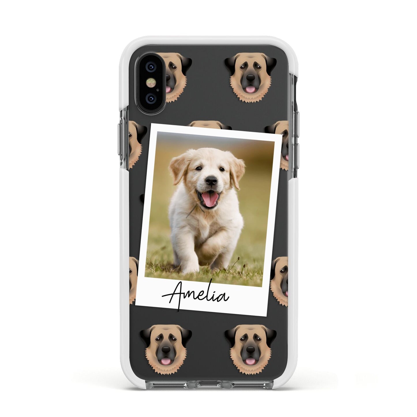 Personalised Dog Photo Apple iPhone Xs Impact Case White Edge on Black Phone