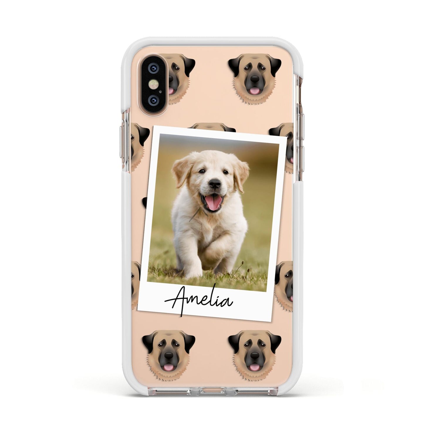 Personalised Dog Photo Apple iPhone Xs Impact Case White Edge on Gold Phone