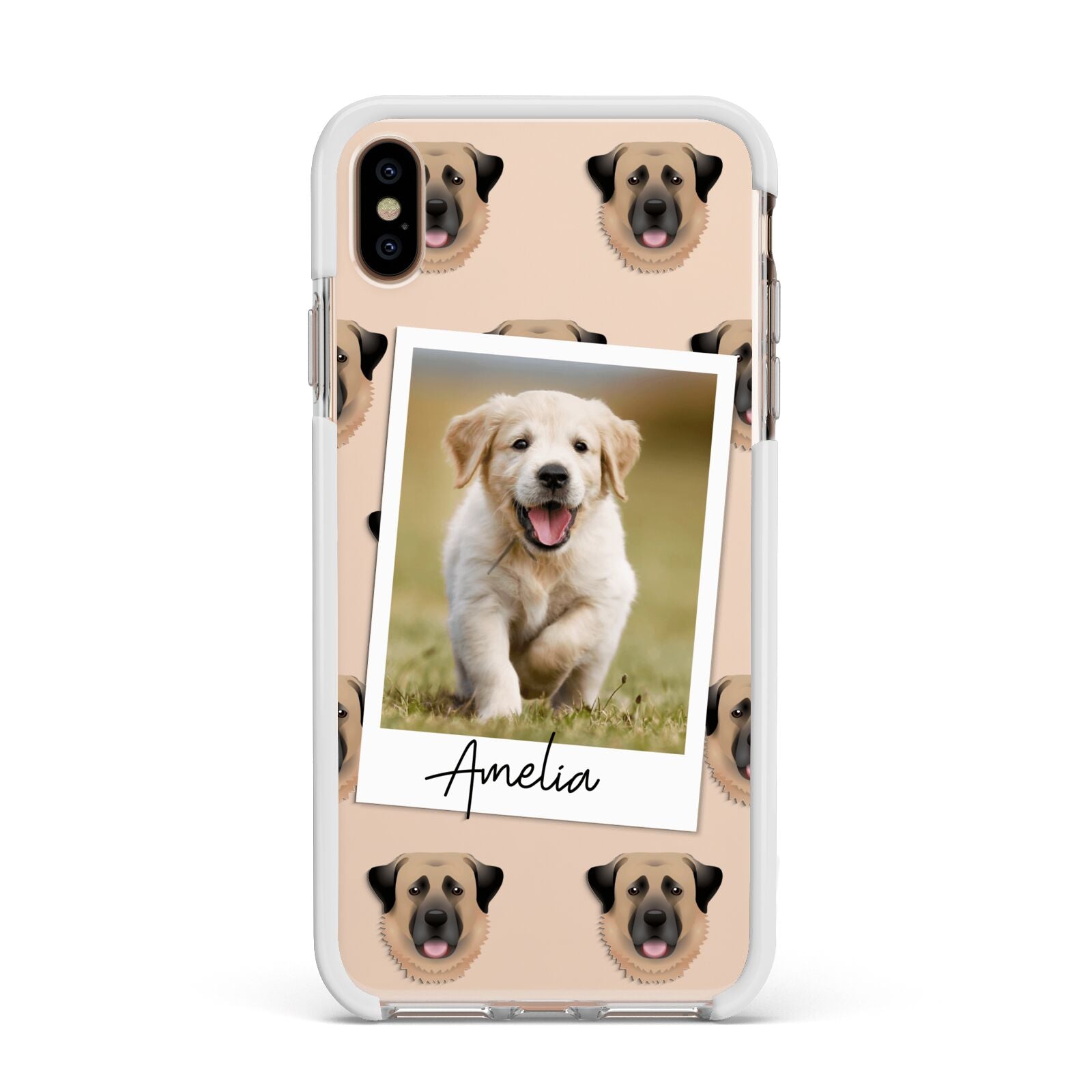 Personalised Dog Photo Apple iPhone Xs Max Impact Case White Edge on Gold Phone