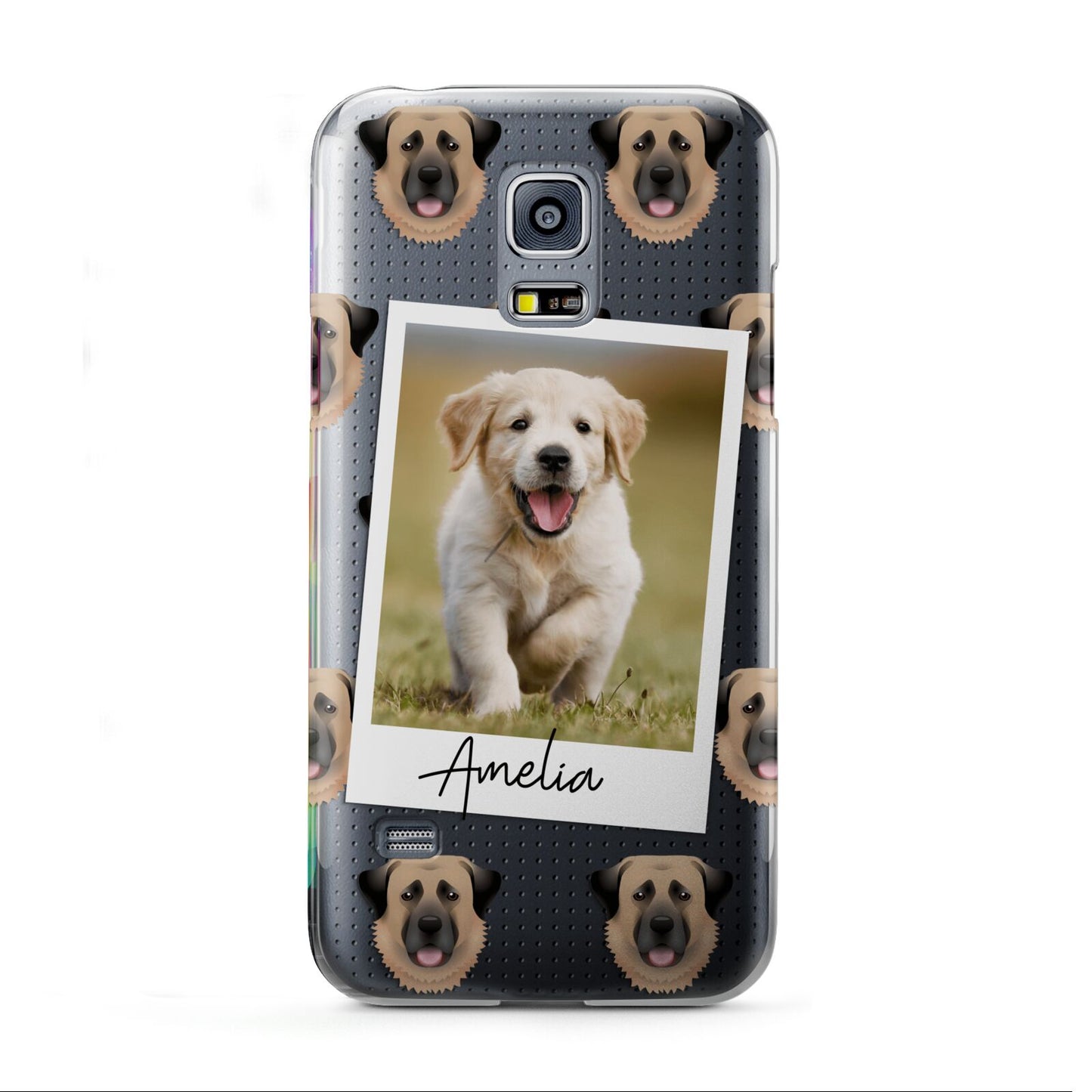 Personalised Dog Photo Samsung Galaxy S5 Mini Case