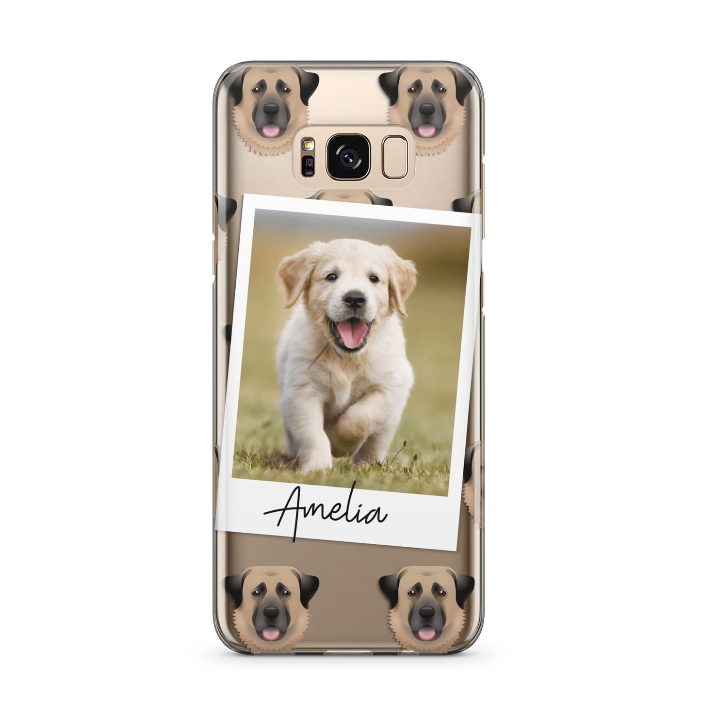 Personalised Dog Photo Samsung Galaxy S8 Plus Case