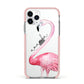 Personalised Flamingo Apple iPhone 11 Pro in Silver with Pink Impact Case