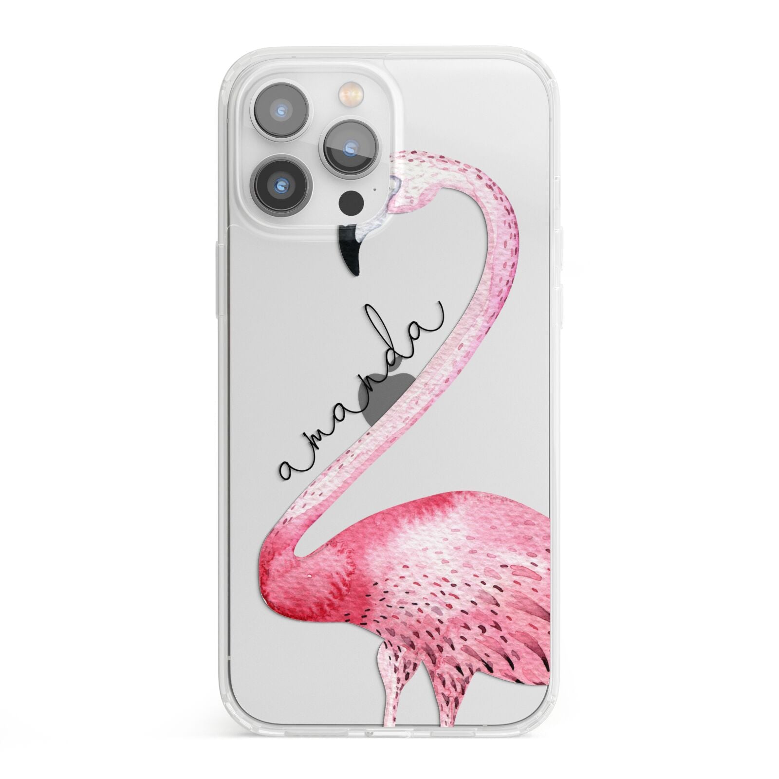 Personalised Flamingo iPhone 13 Pro Max Clear Bumper Case