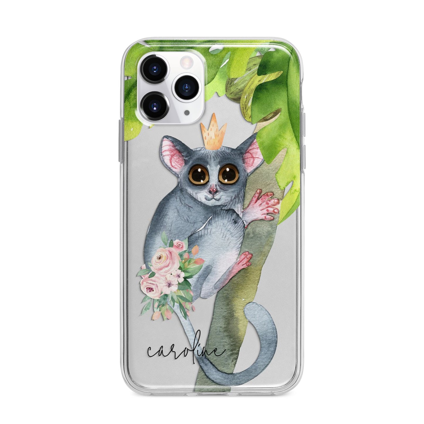 Personalised Galago Apple iPhone 11 Pro Max in Silver with Bumper Case