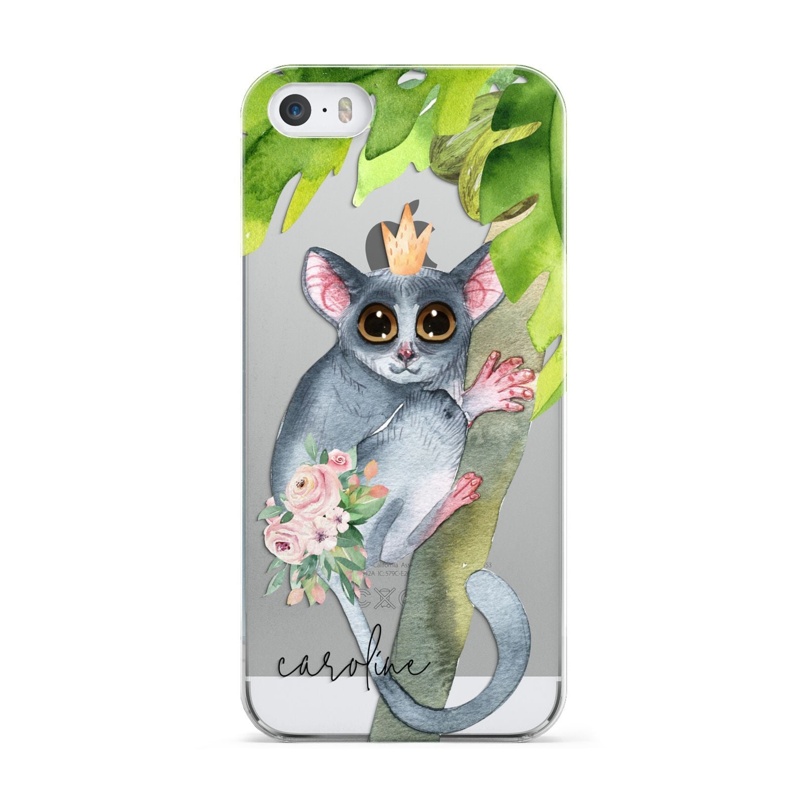 Personalised Galago Apple iPhone 5 Case