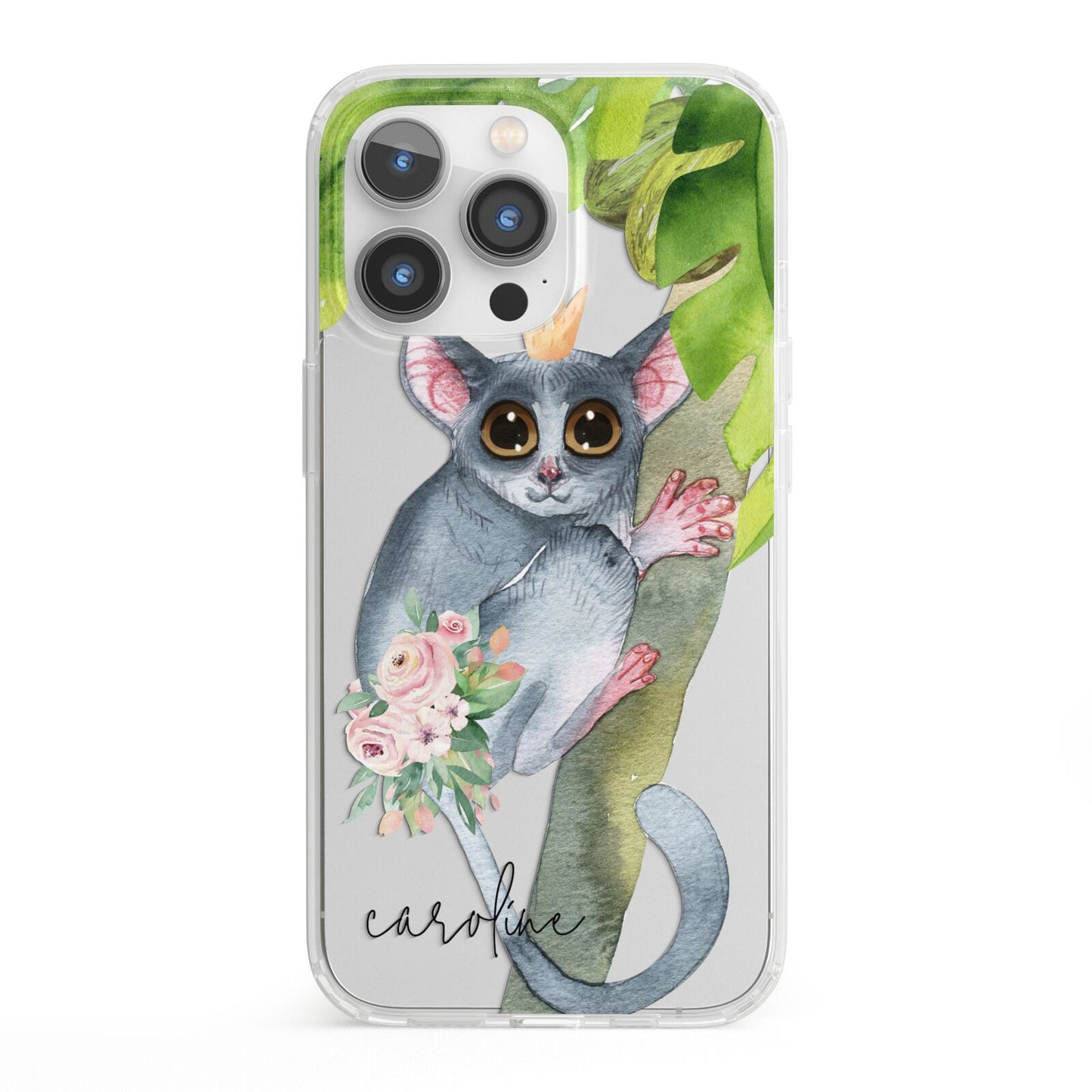 Personalised Galago iPhone 13 Pro Clear Bumper Case