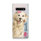 Personalised Golden Retriever Dog Samsung Galaxy S10 Plus Case