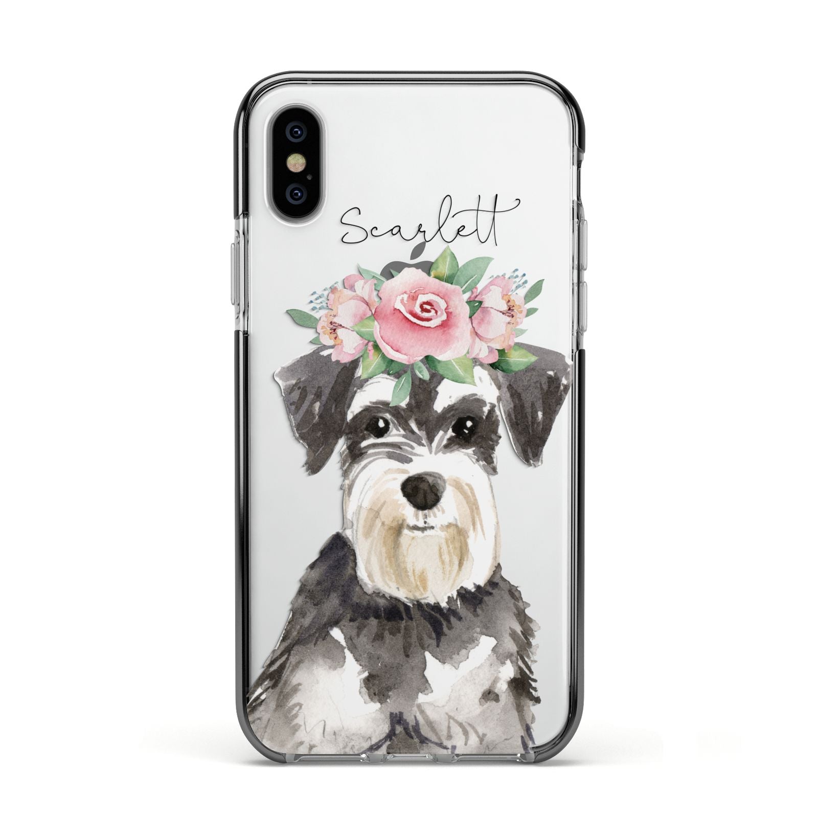 Personalised Miniature Schnauzer Apple iPhone Xs Impact Case Black Edge on Silver Phone