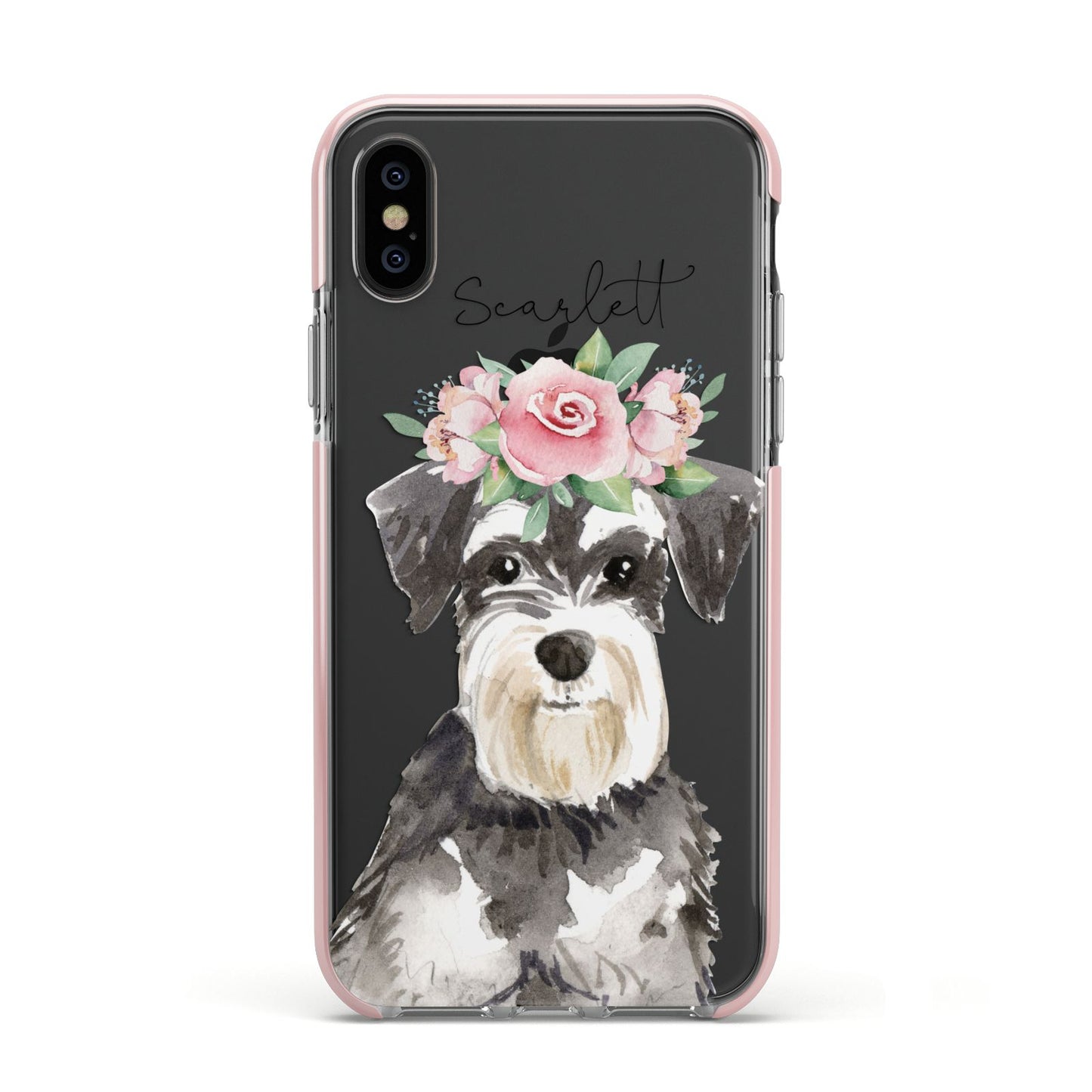 Personalised Miniature Schnauzer Apple iPhone Xs Impact Case Pink Edge on Black Phone