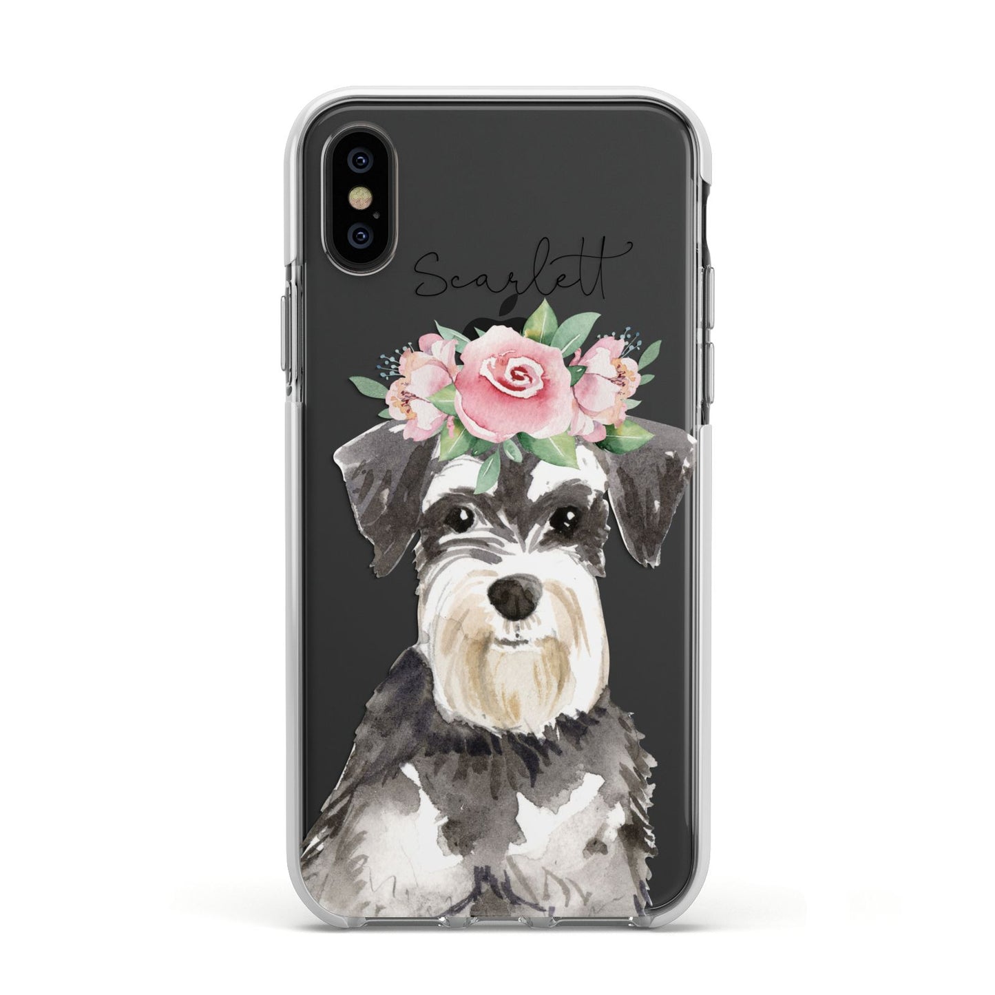 Personalised Miniature Schnauzer Apple iPhone Xs Impact Case White Edge on Black Phone