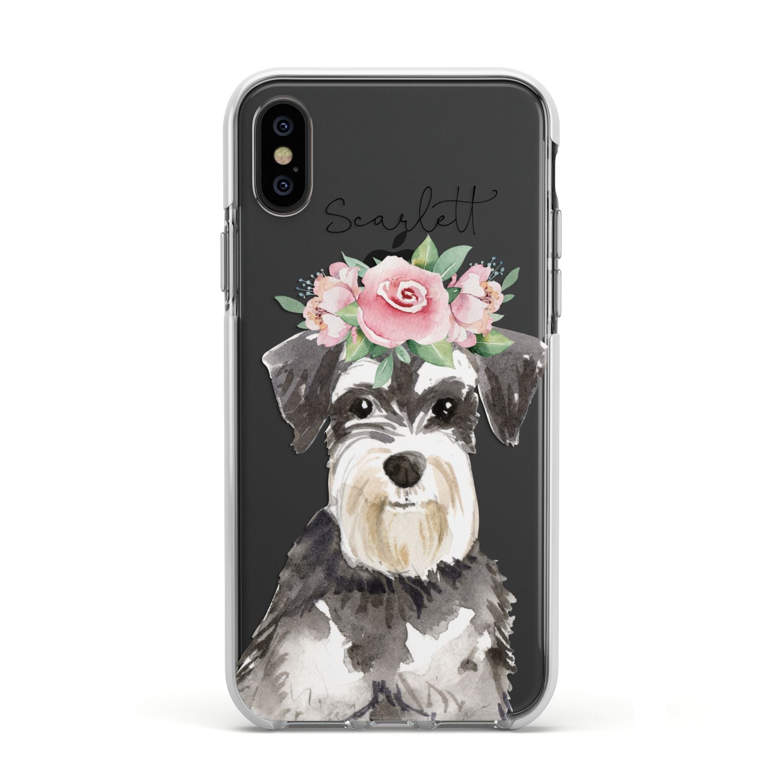 Personalised Miniature Schnauzer Apple iPhone Xs Impact Case White Edge on Black Phone