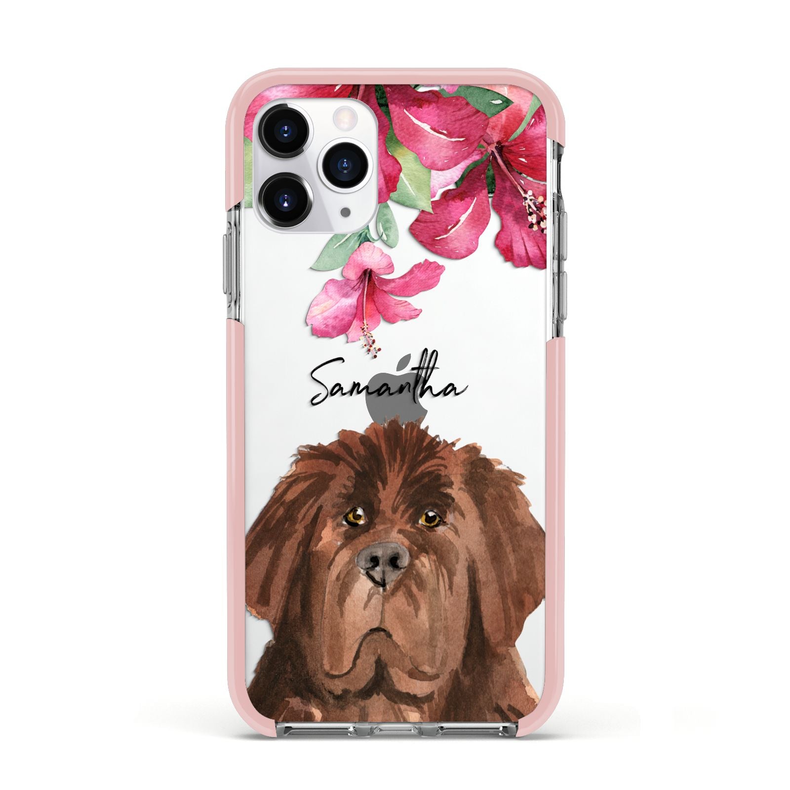 Personalised Newfoundland Apple iPhone 11 Pro in Silver with Pink Impact Case