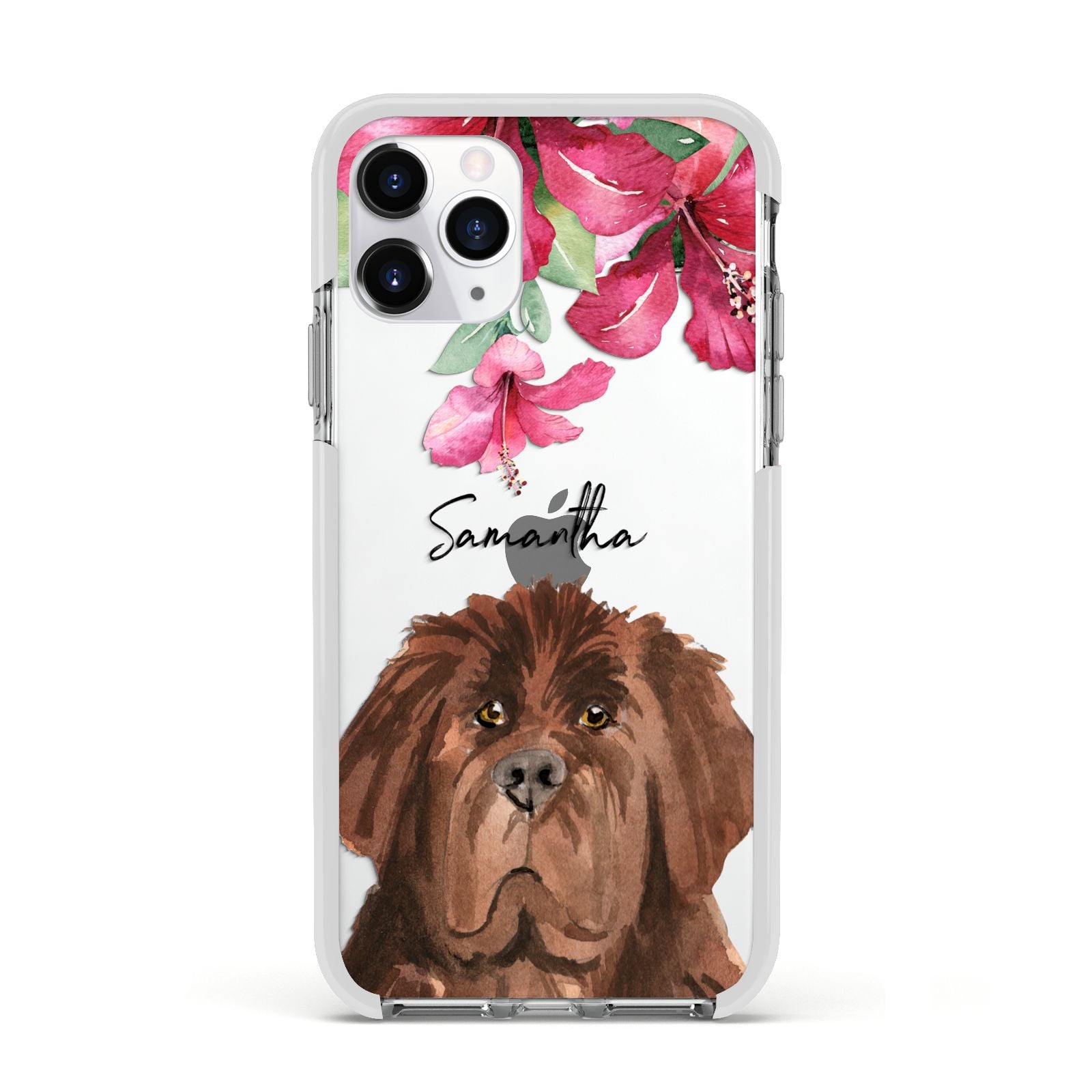 Personalised Newfoundland Apple iPhone 11 Pro in Silver with White Impact Case