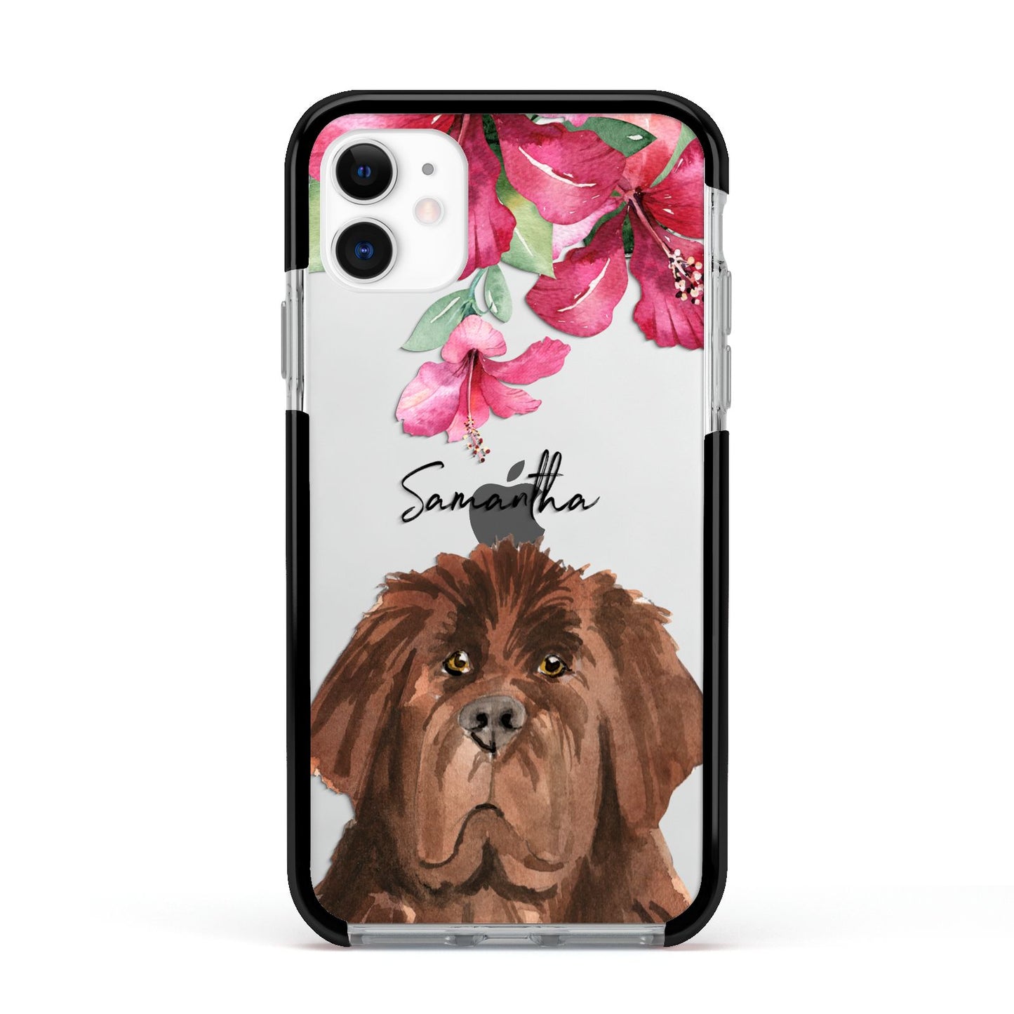 Personalised Newfoundland Apple iPhone 11 in White with Black Impact Case
