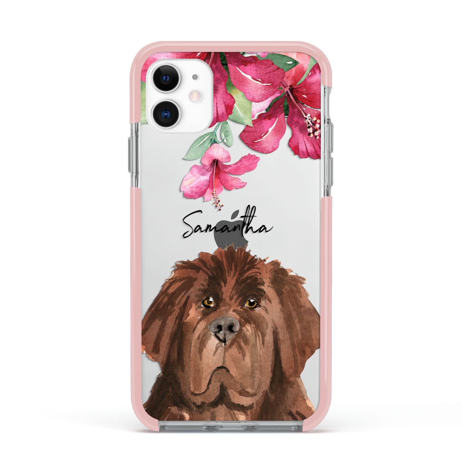 Personalised Newfoundland Apple iPhone 11 in White with Pink Impact Case