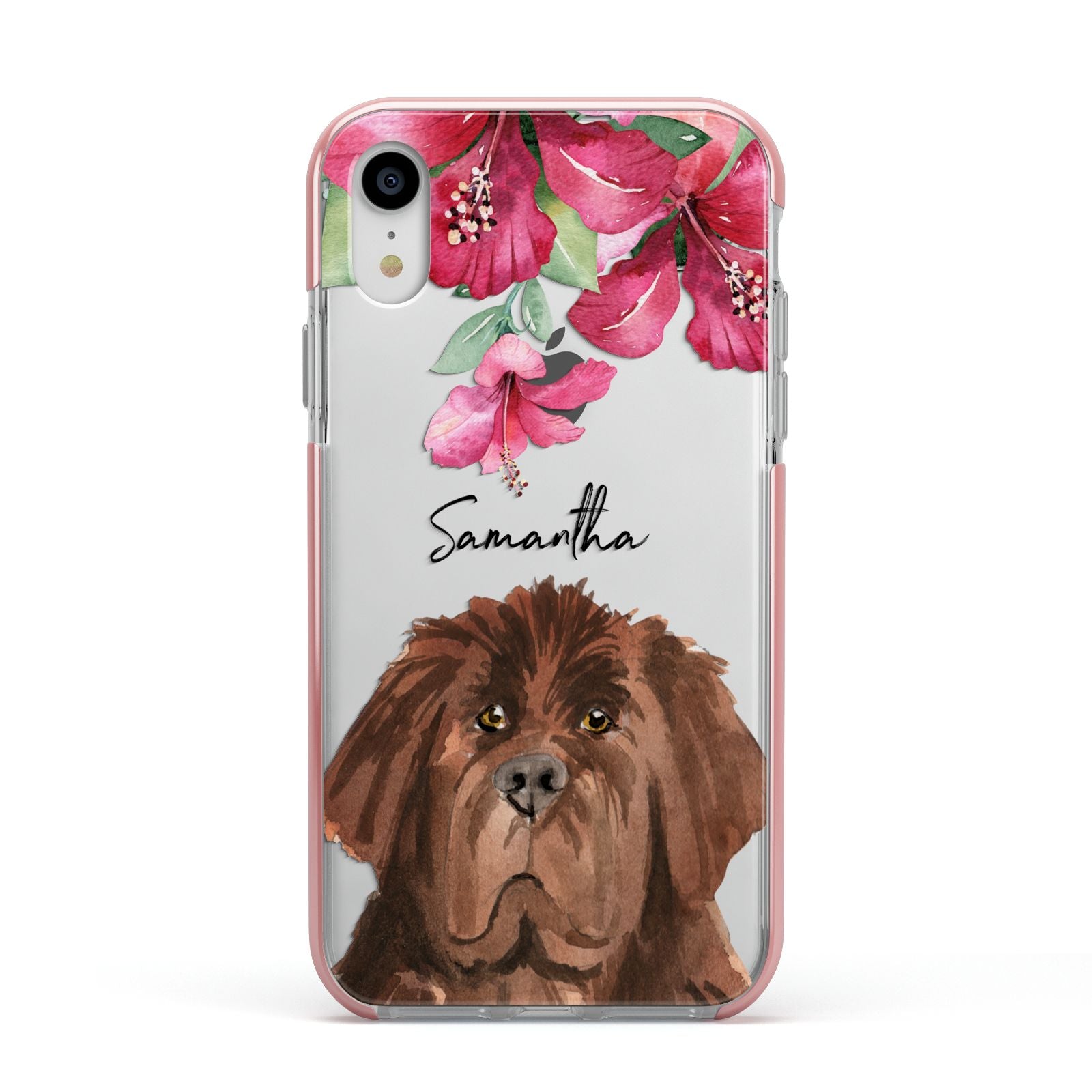 Personalised Newfoundland Apple iPhone XR Impact Case Pink Edge on Silver Phone