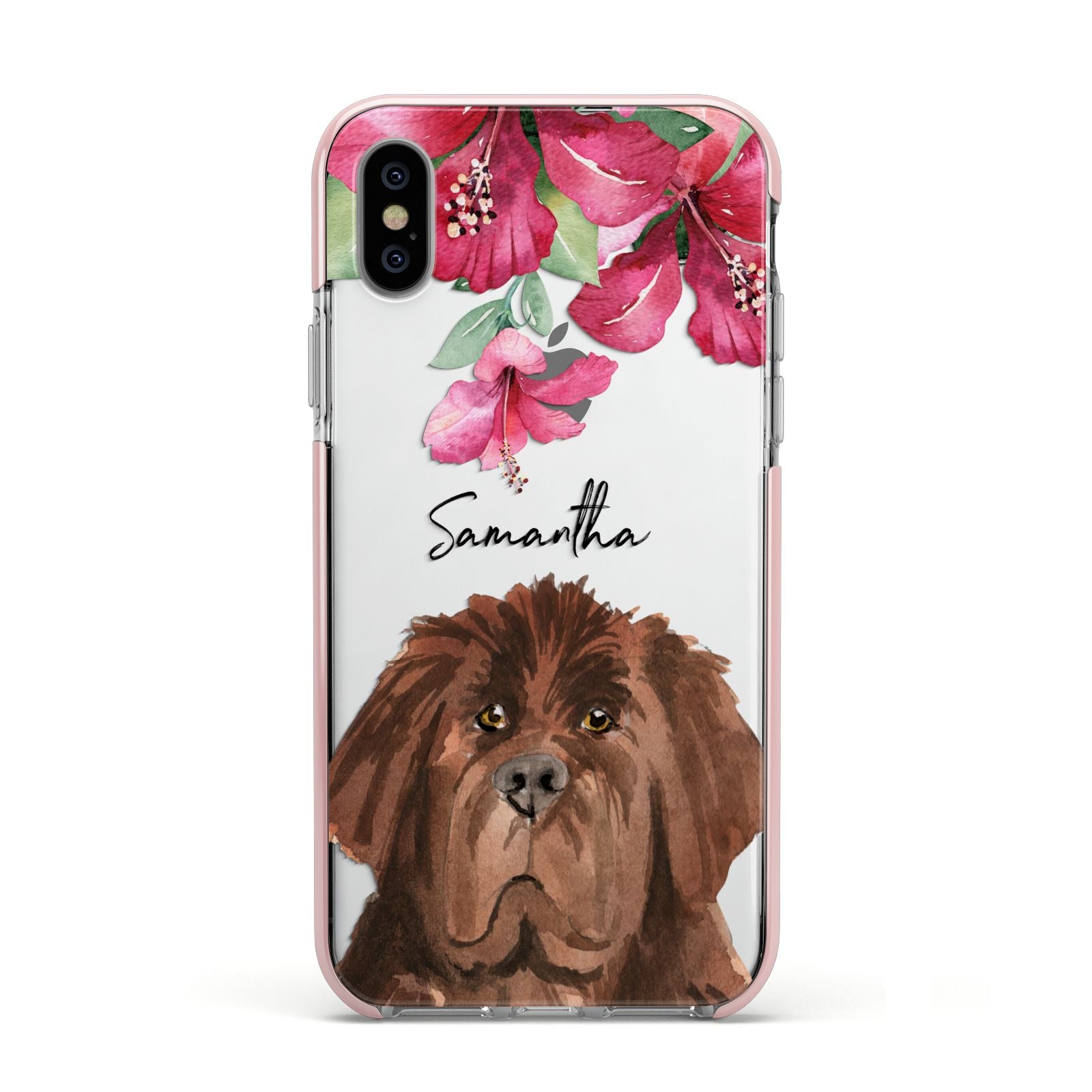 Personalised Newfoundland Apple iPhone Xs Impact Case Pink Edge on Silver Phone