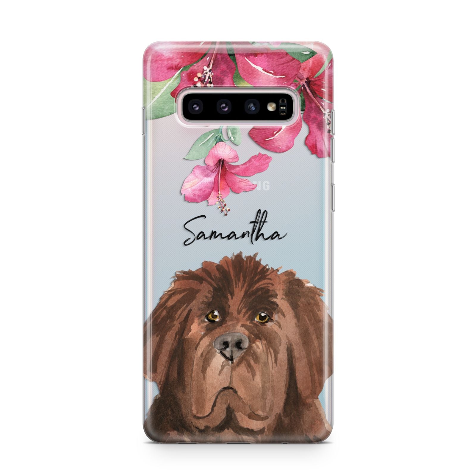 Personalised Newfoundland Samsung Galaxy S10 Plus Case
