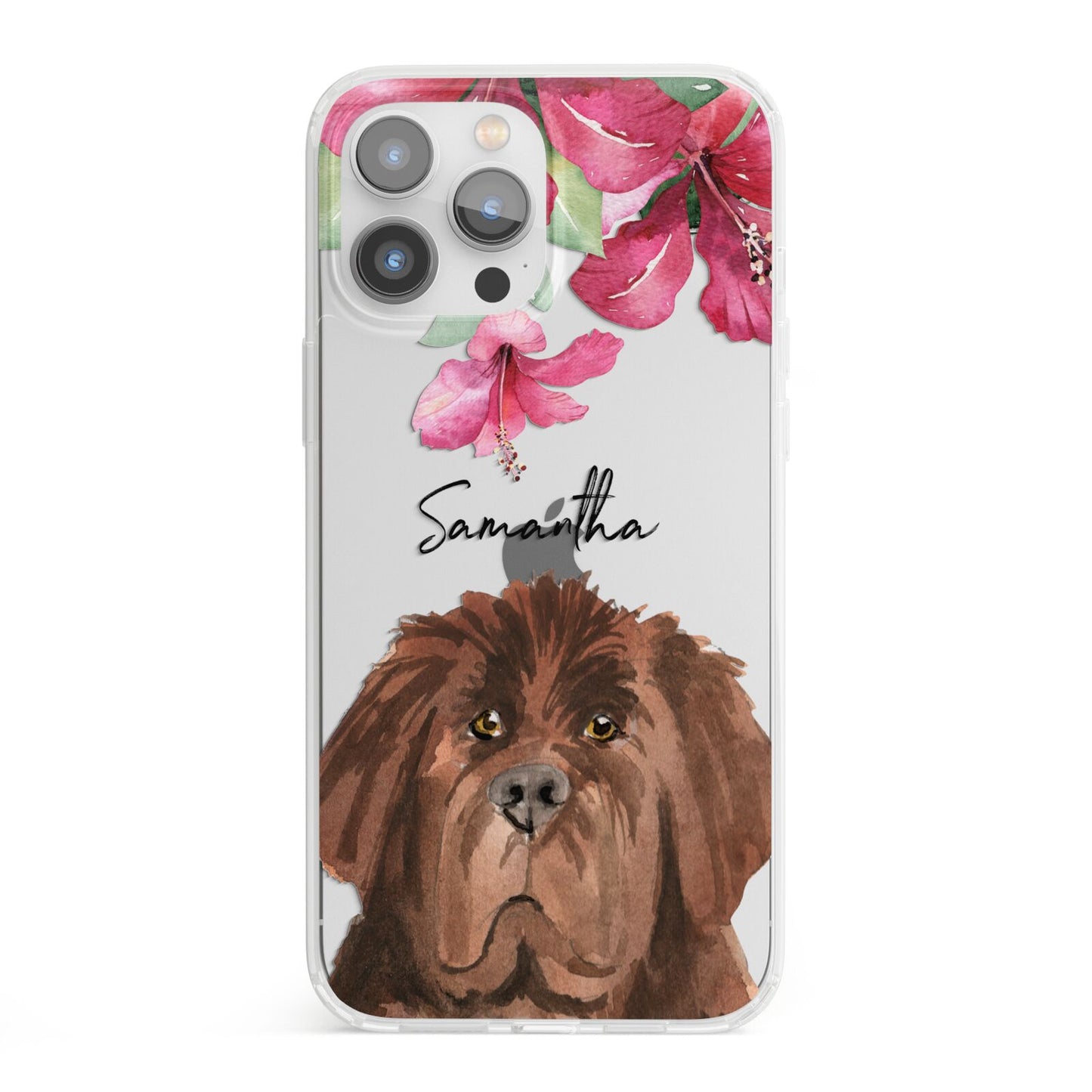 Personalised Newfoundland iPhone 13 Pro Max Clear Bumper Case