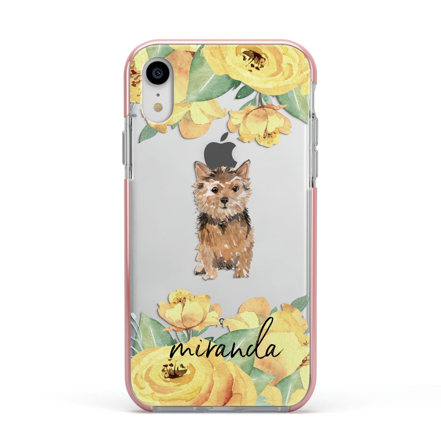 Personalised Norwich Terrier Apple iPhone XR Impact Case Pink Edge on Silver Phone