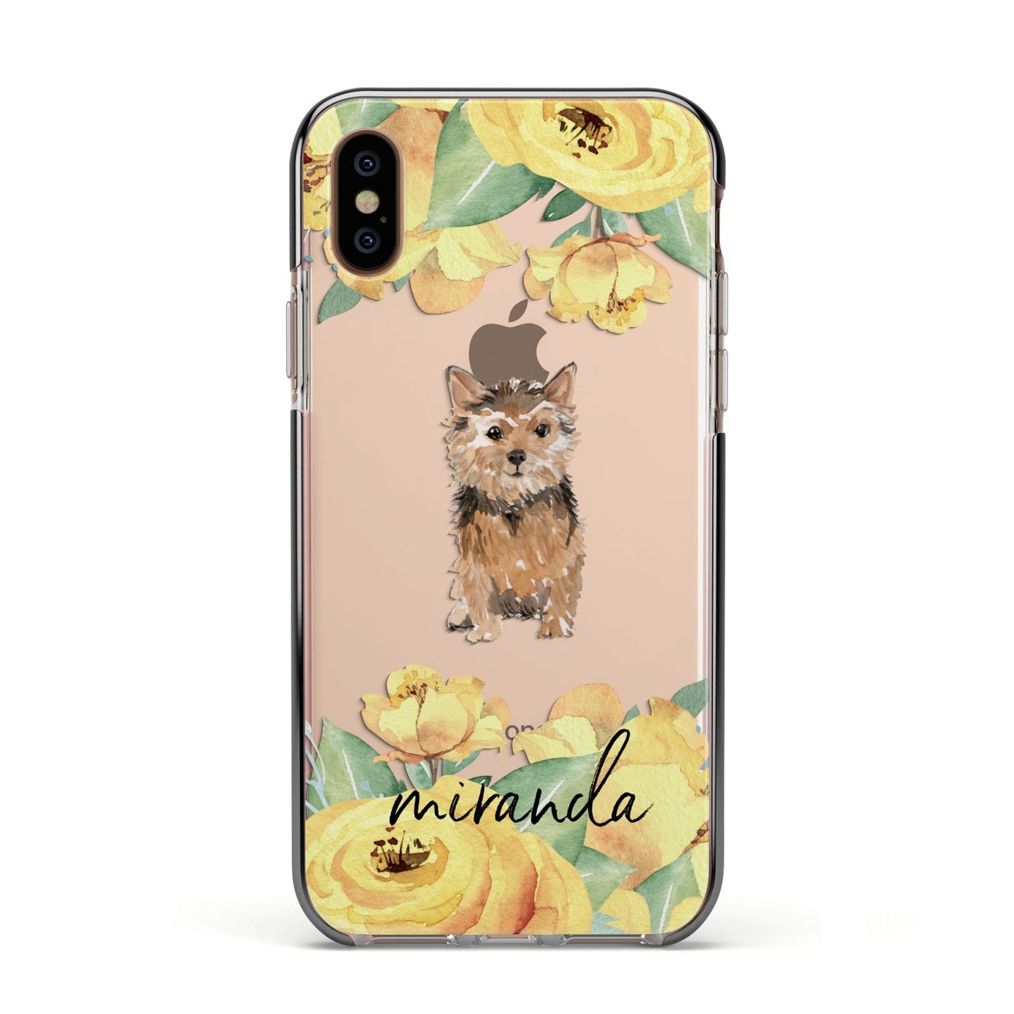 Personalised Norwich Terrier Apple iPhone Xs Impact Case Black Edge on Gold Phone