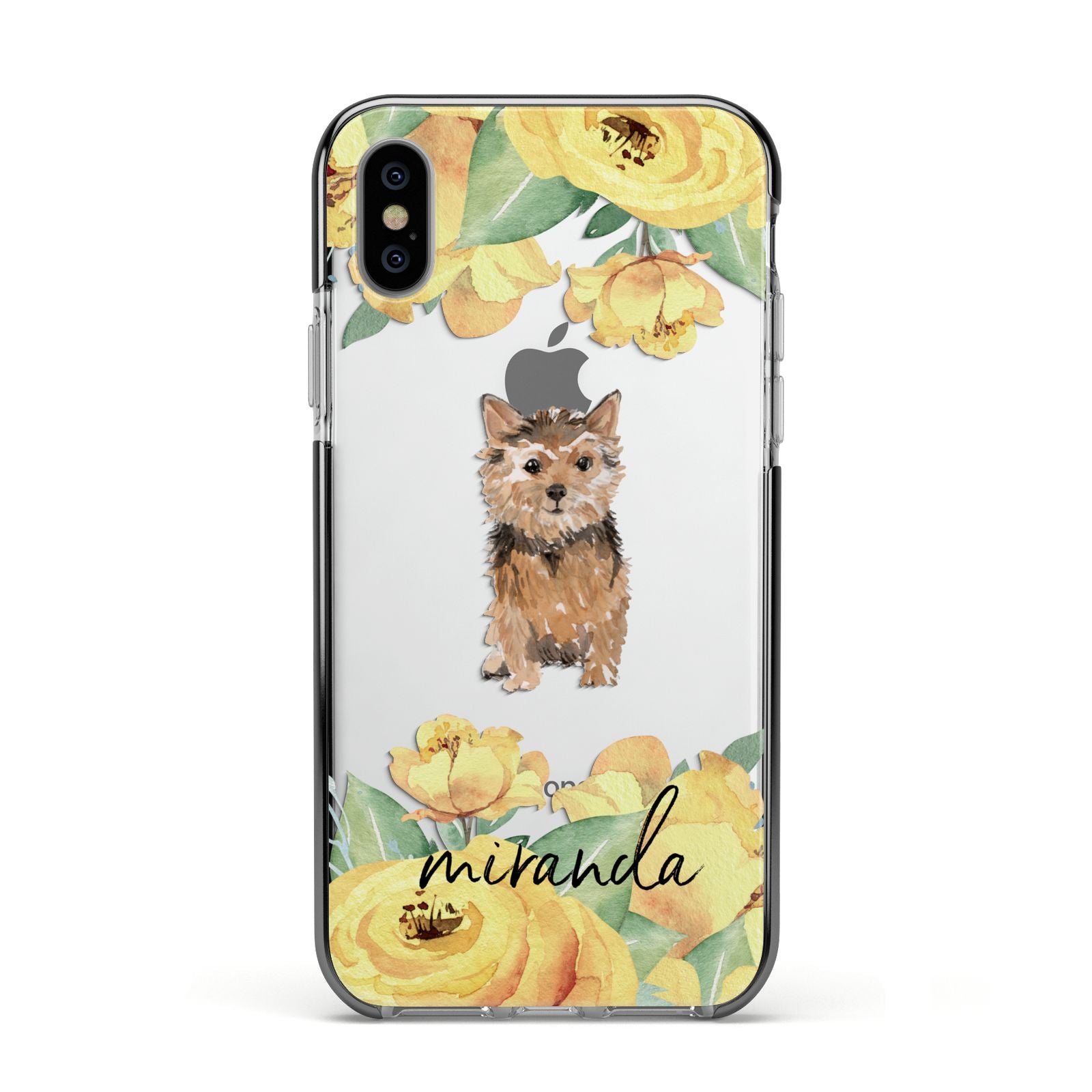 Personalised Norwich Terrier Apple iPhone Xs Impact Case Black Edge on Silver Phone