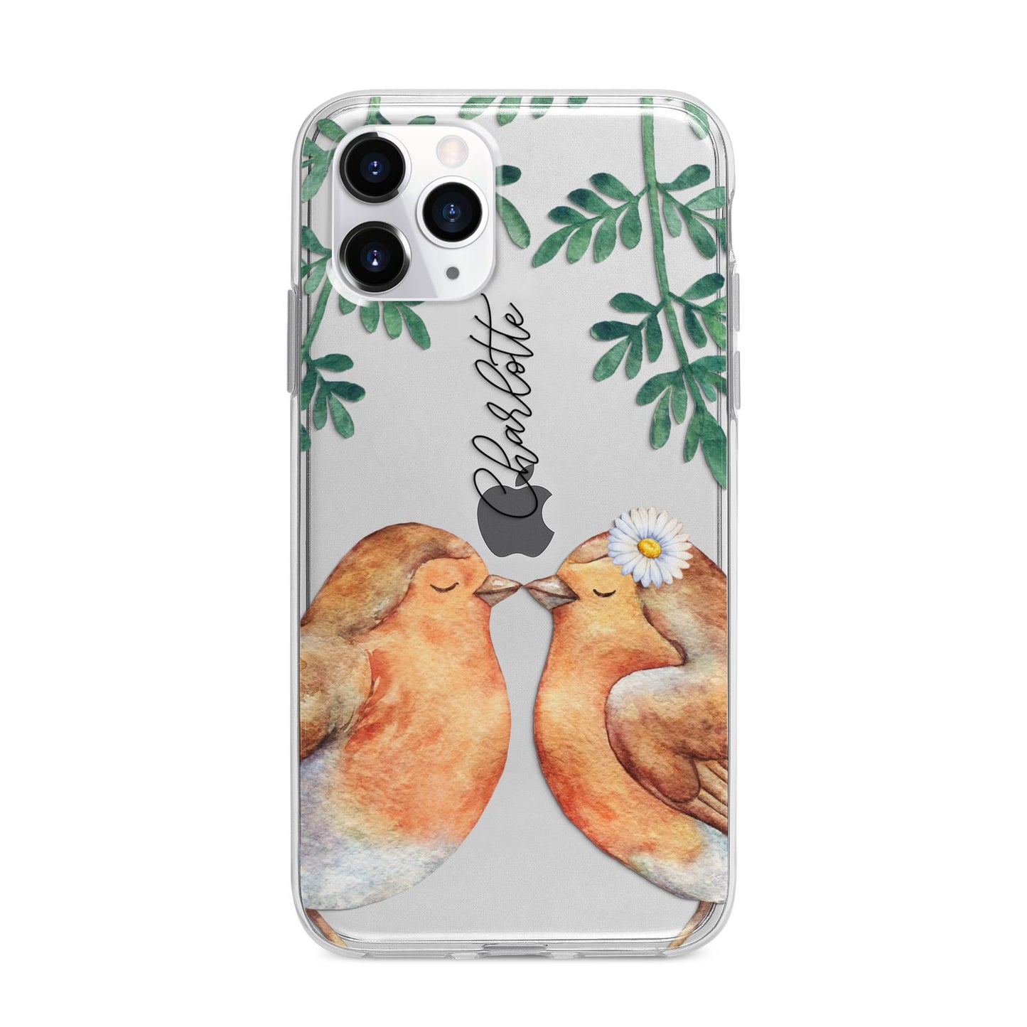 Personalised Pair of Robins Apple iPhone 11 Pro in Silver with Bumper Case