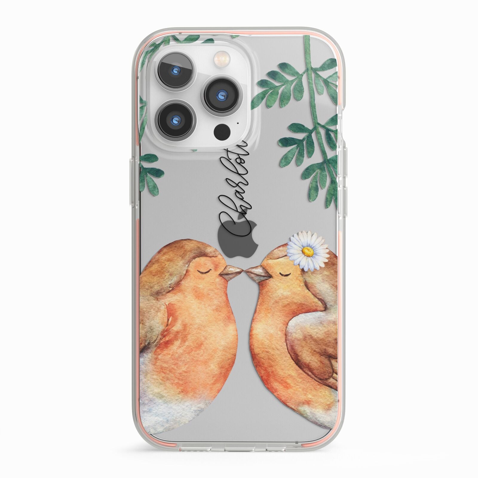 Personalised Pair of Robins iPhone 13 Pro TPU Impact Case with Pink Edges