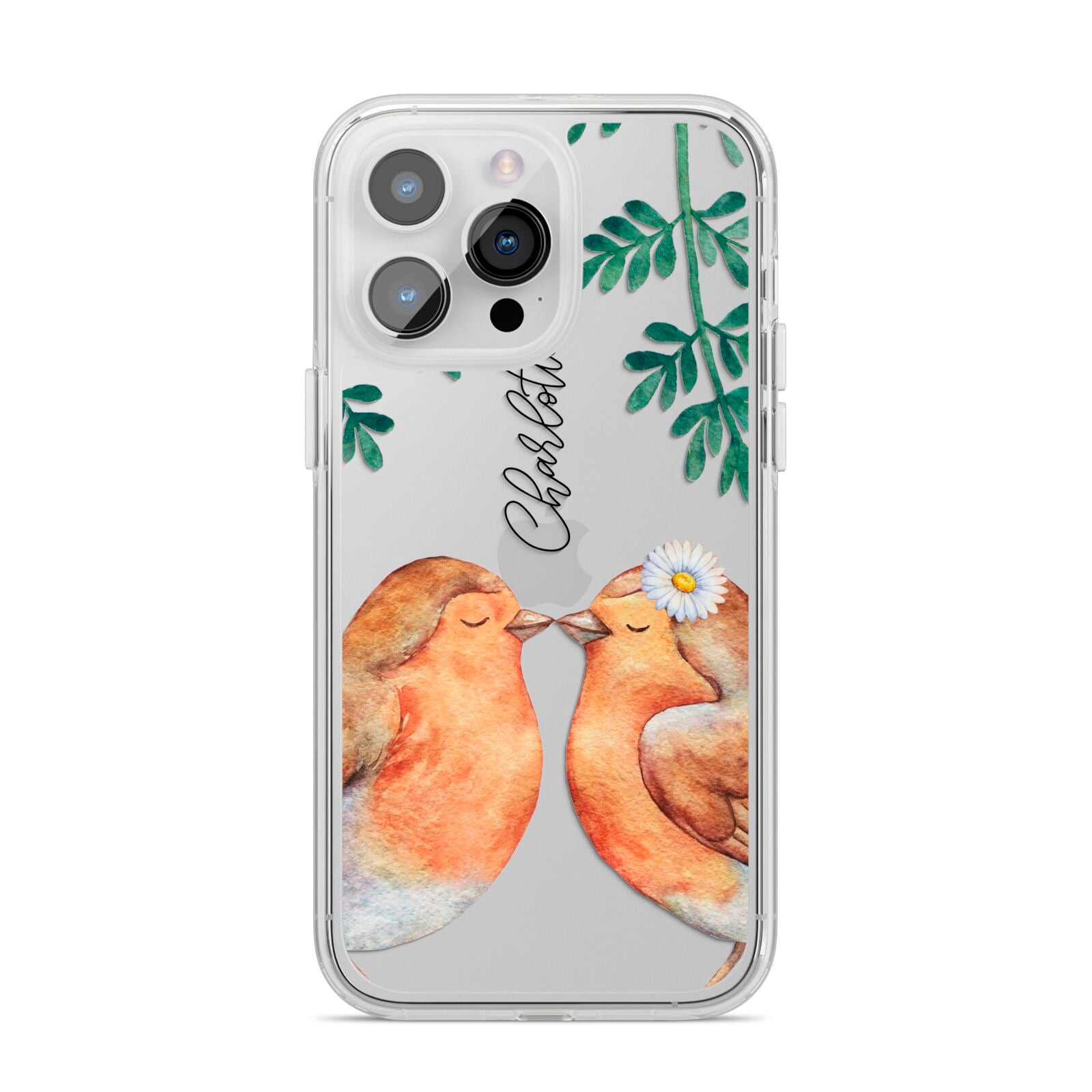 Personalised Pair of Robins iPhone 14 Pro Max Clear Tough Case Silver