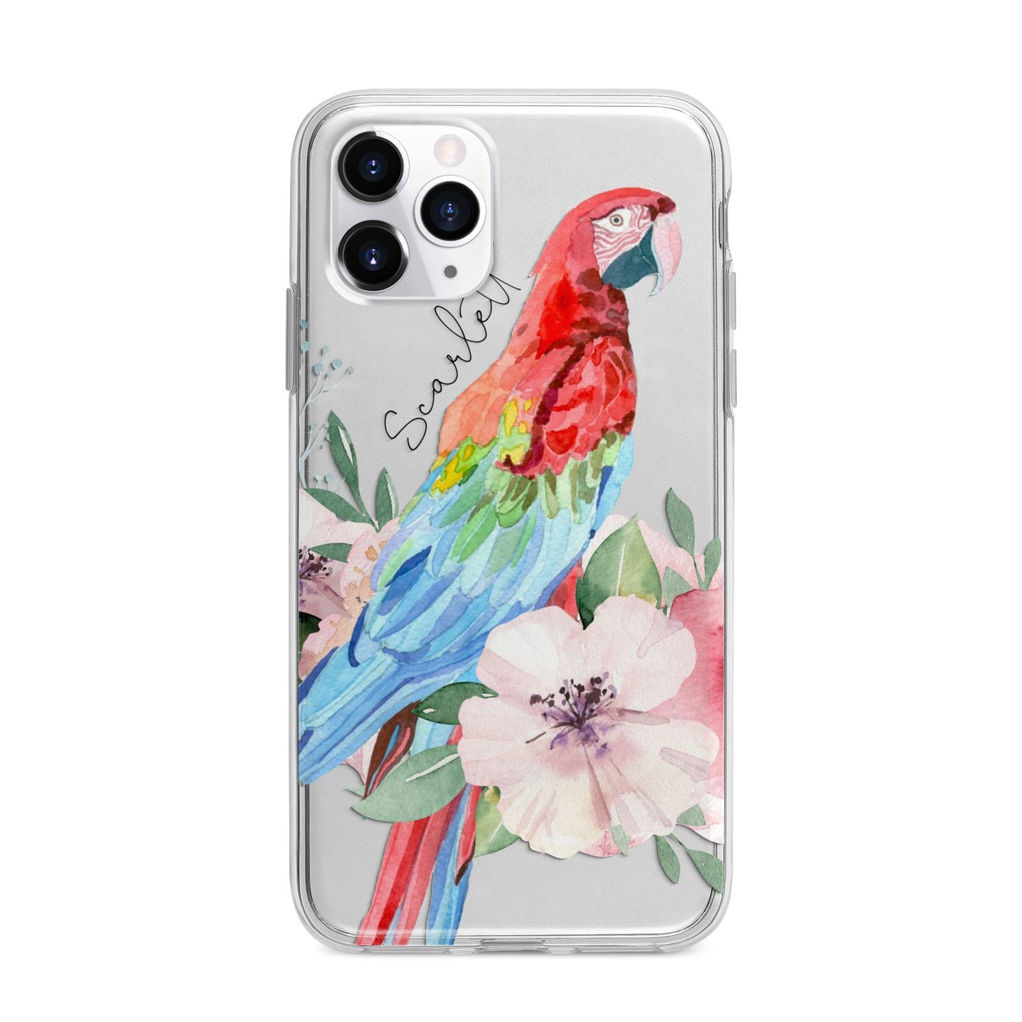 Personalised Parrot Apple iPhone 11 Pro Max in Silver with Bumper Case