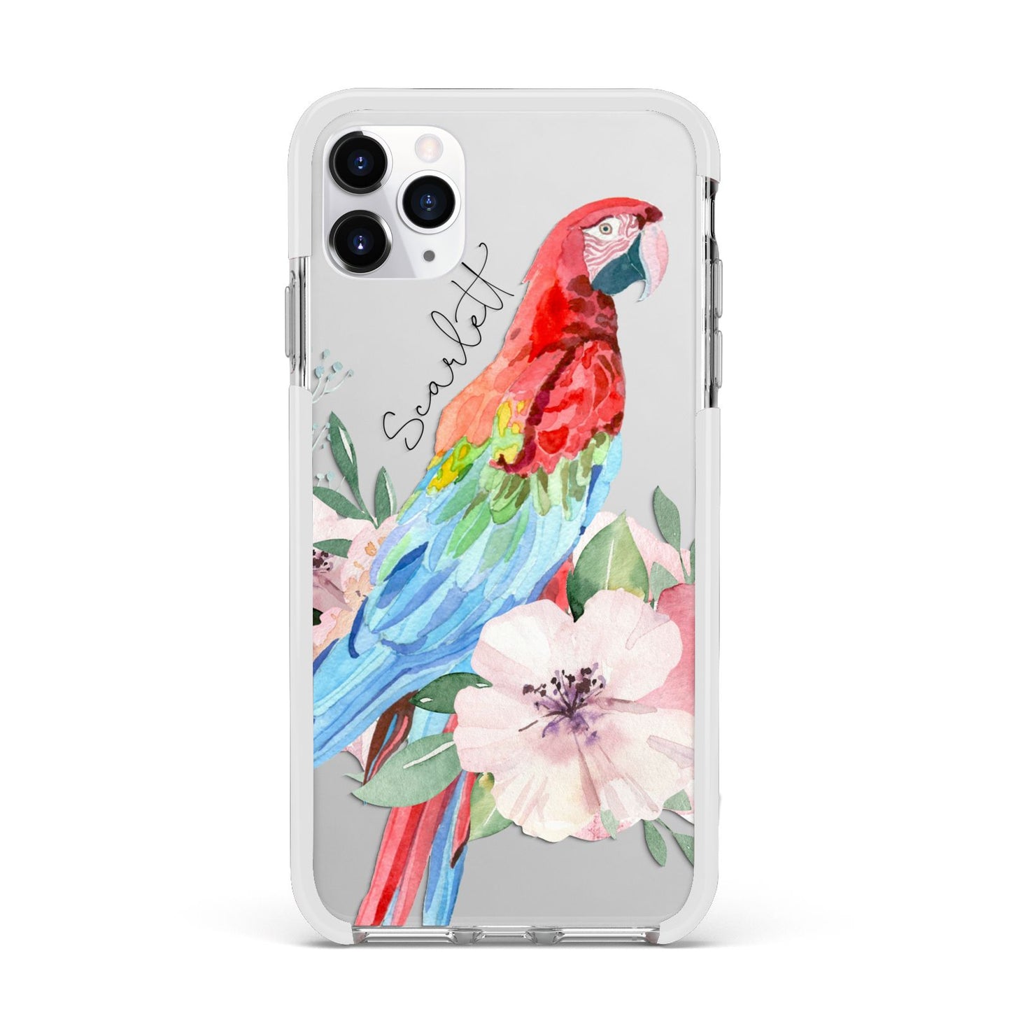 Personalised Parrot Apple iPhone 11 Pro Max in Silver with White Impact Case