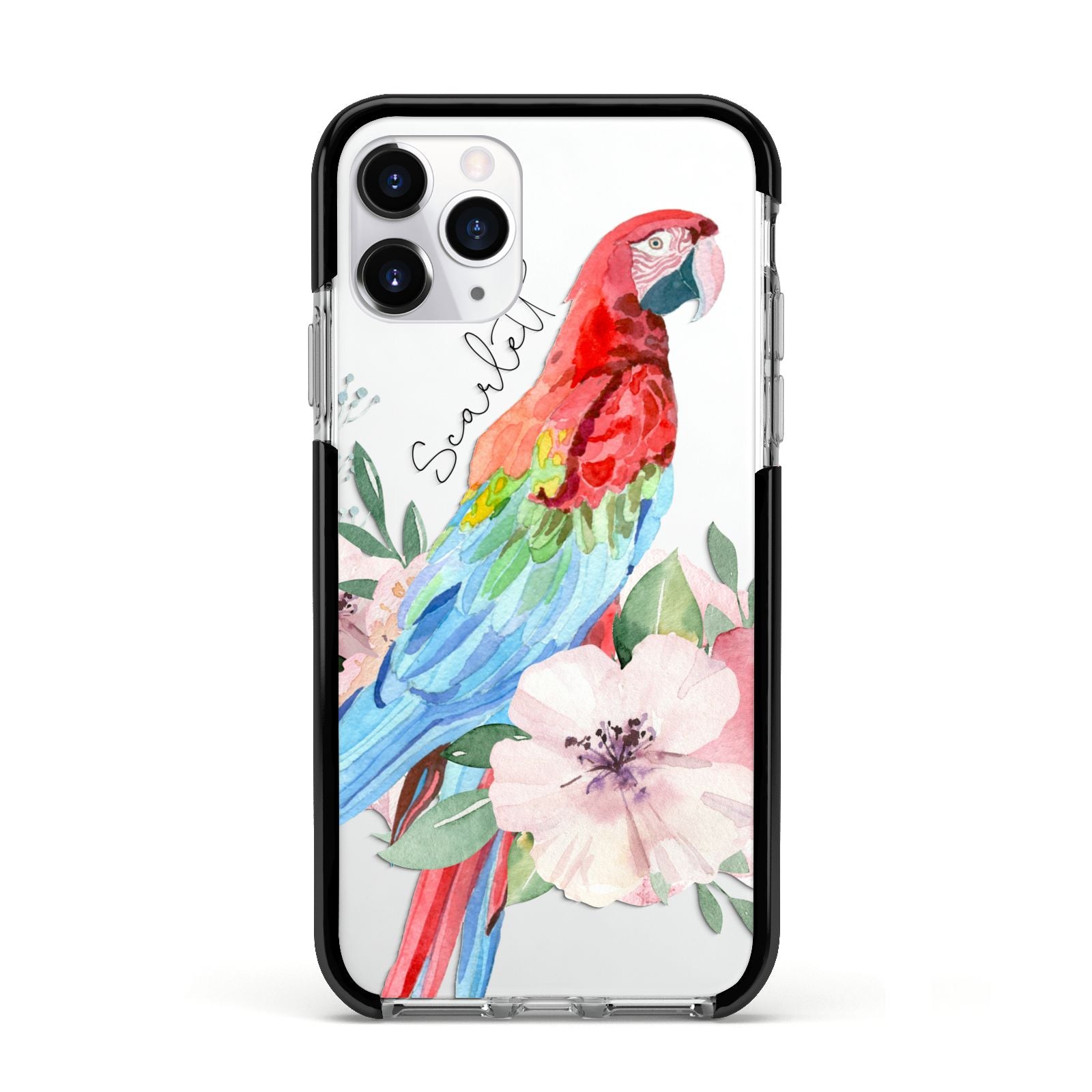 Personalised Parrot Apple iPhone 11 Pro in Silver with Black Impact Case