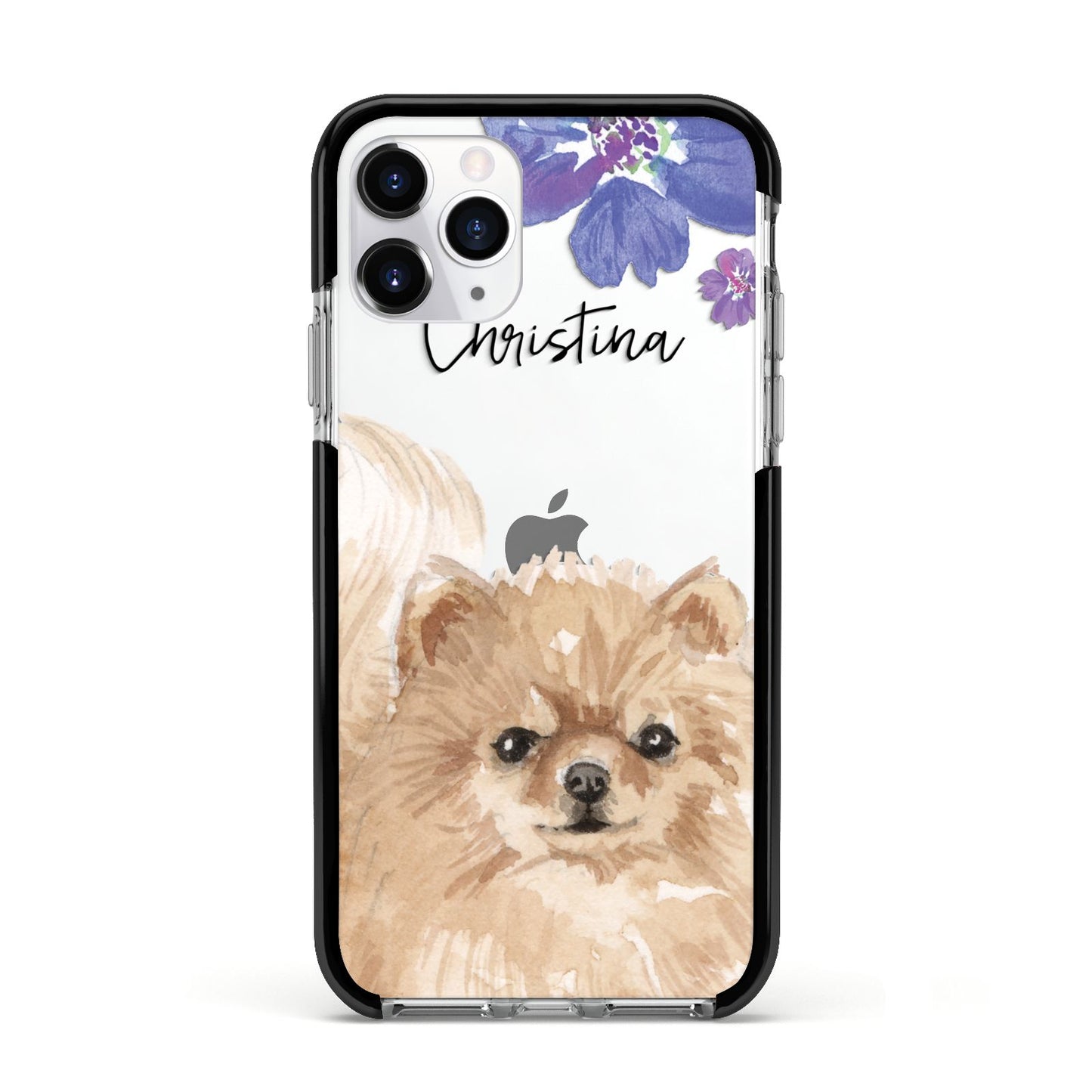 Personalised Pomeranian Apple iPhone 11 Pro in Silver with Black Impact Case