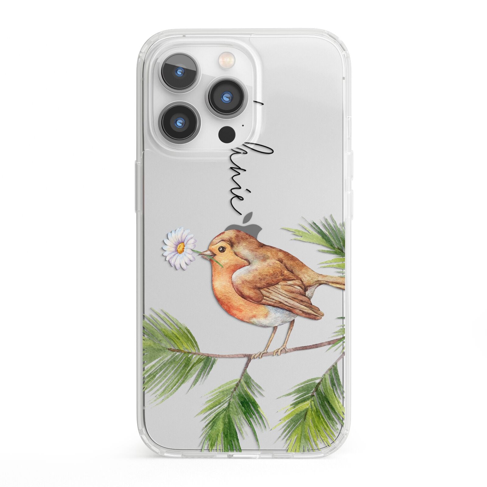 Personalised Robin iPhone 13 Pro Clear Bumper Case