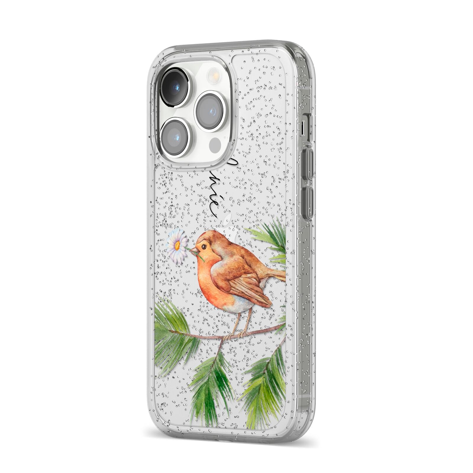 Personalised Robin iPhone 14 Pro Glitter Tough Case Silver Angled Image